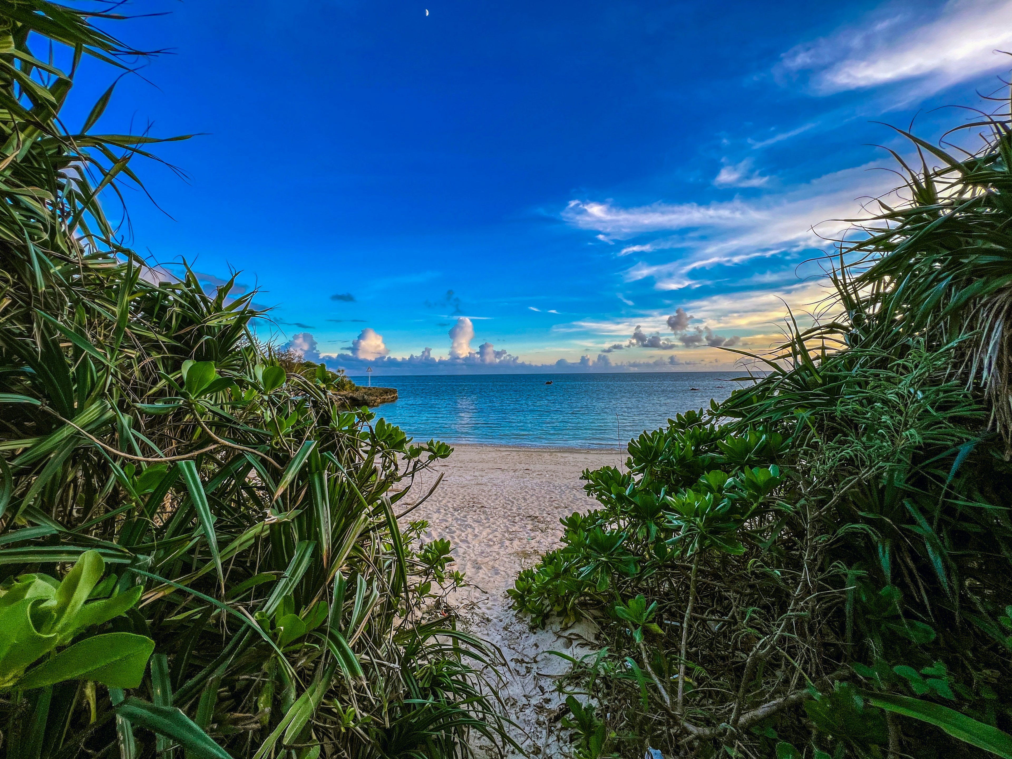 ทิวทัศน์ชายหาดที่ถูกล้อมรอบด้วยพืชสีเขียวท้องฟ้าสีฟ้าและเมฆ