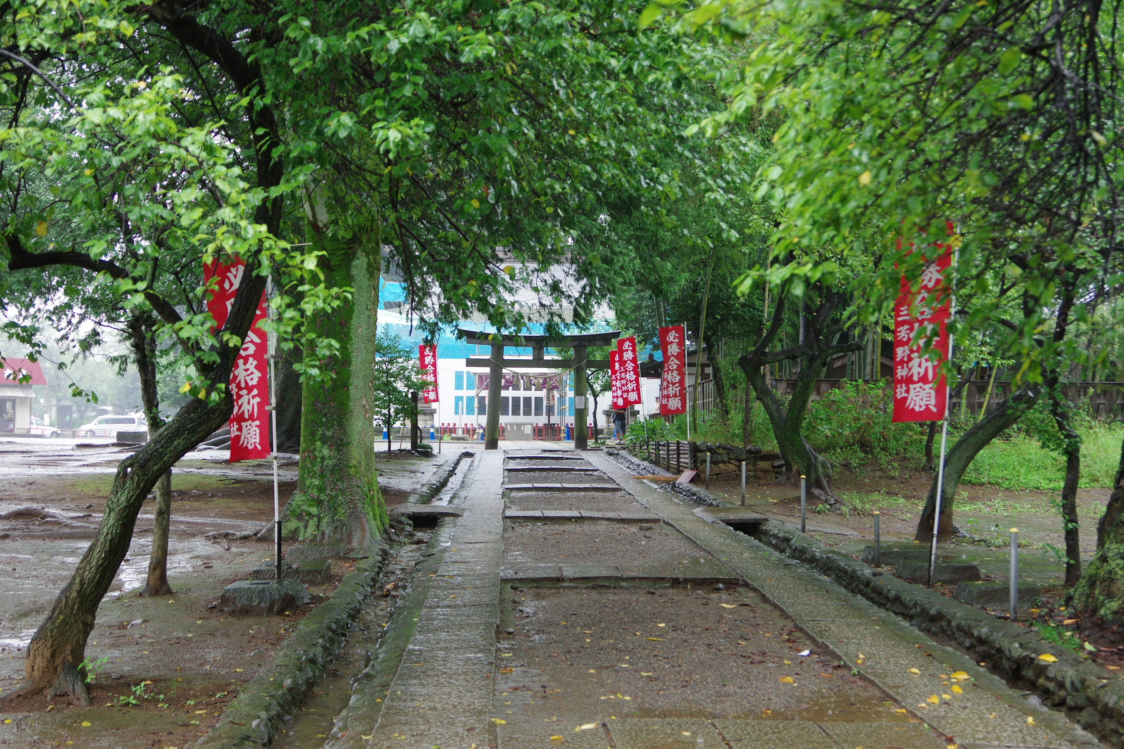 一条被绿色树木和红色横幅环绕的小路通向雨中的大门