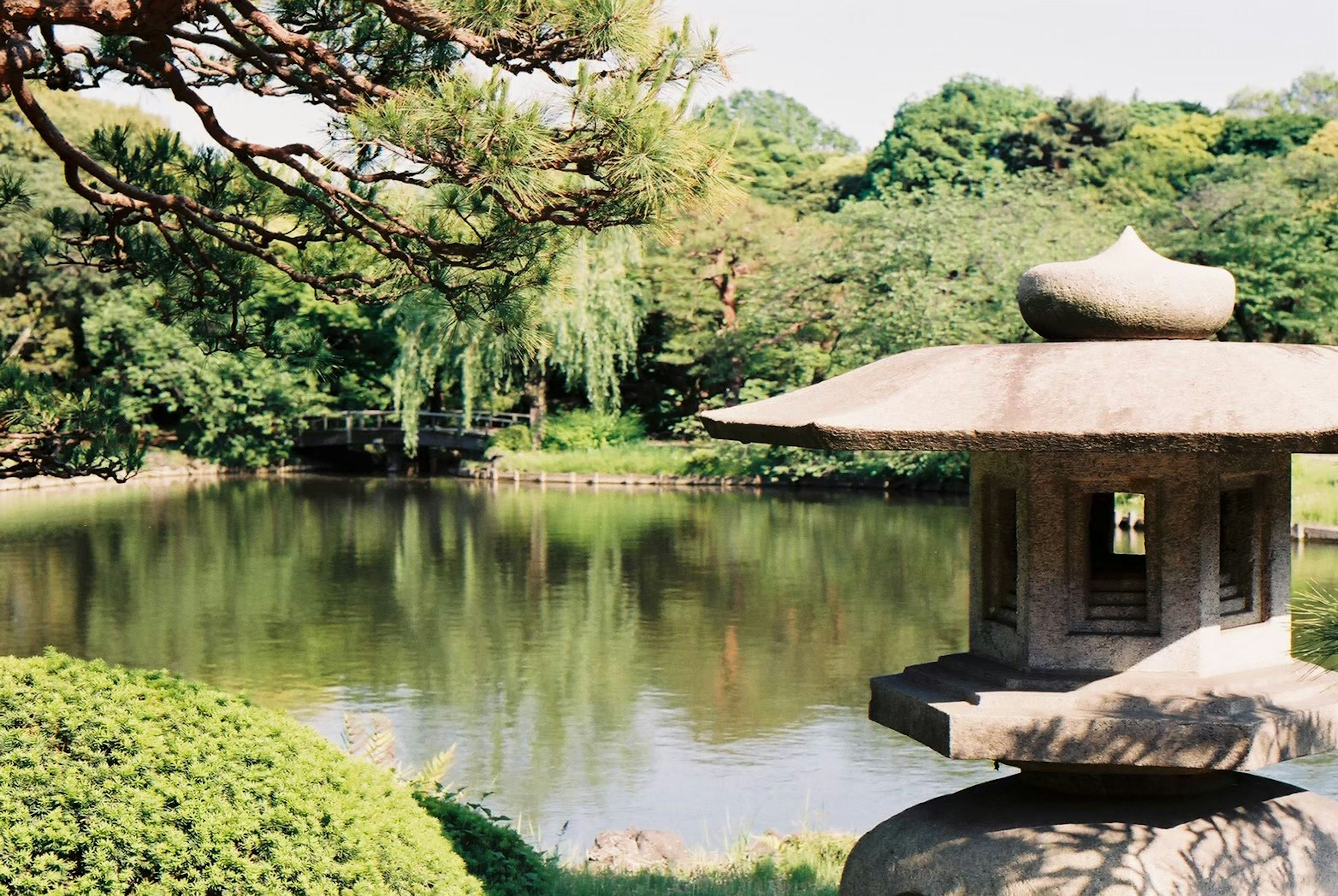 Ruhiger japanischer Garten Teich mit Steinkleuchten umgeben von üppigem Grün