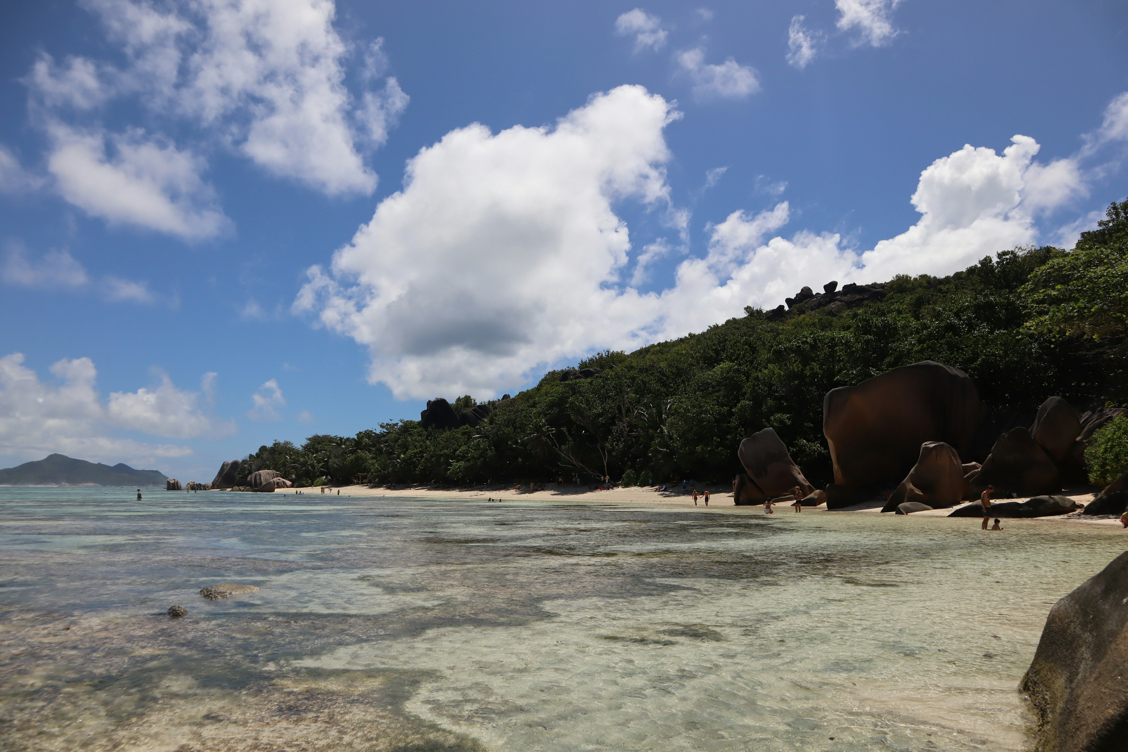 ทิวทัศน์ชายหาดที่สวยงามน้ำใสและพืชพรรณเขียวชอุ่มมีหินใหญ่ในพื้นหลัง