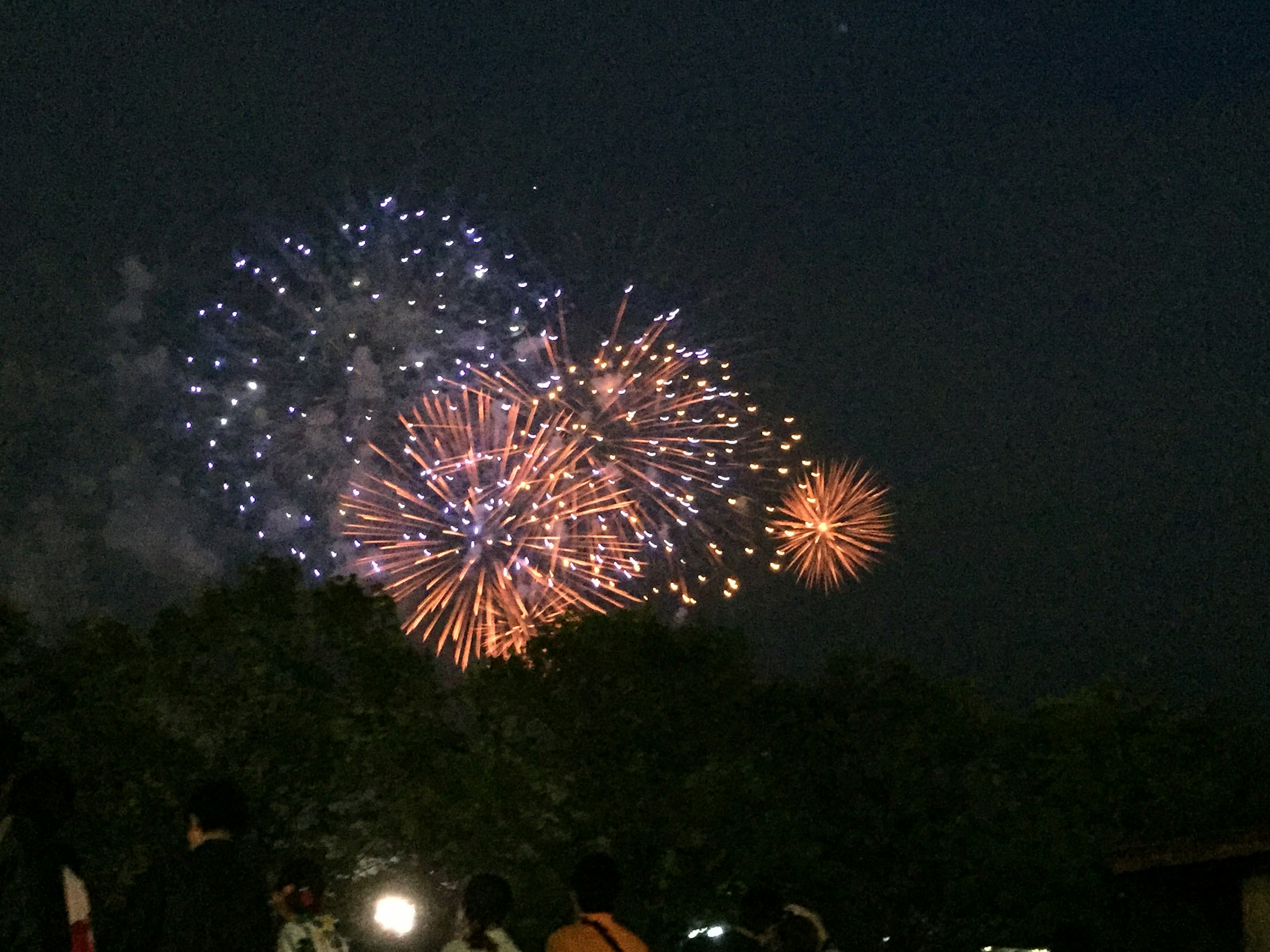 Fuochi d'artificio colorati che illuminano il cielo notturno