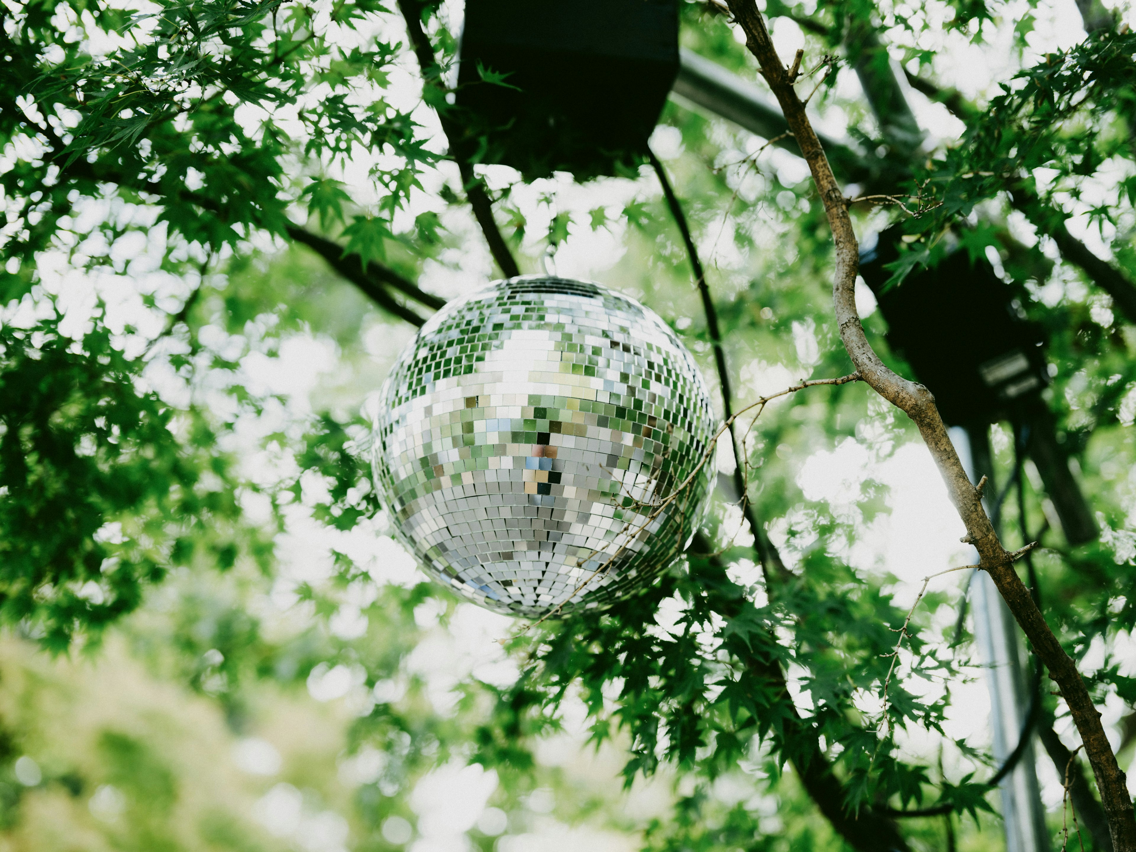 Disco ball hanging among green trees reflecting light