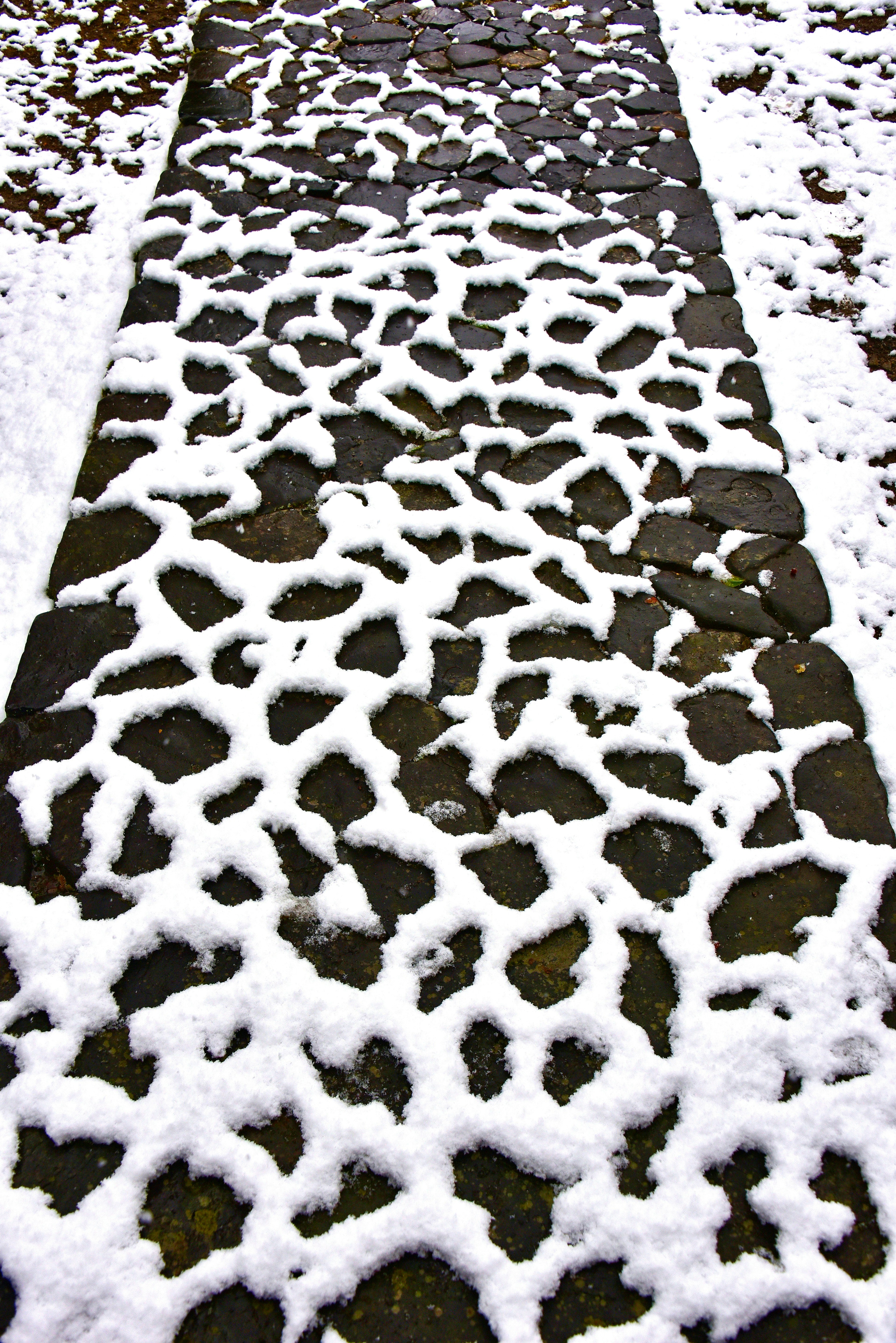 雪に覆われた石の道に独特の模様が見える