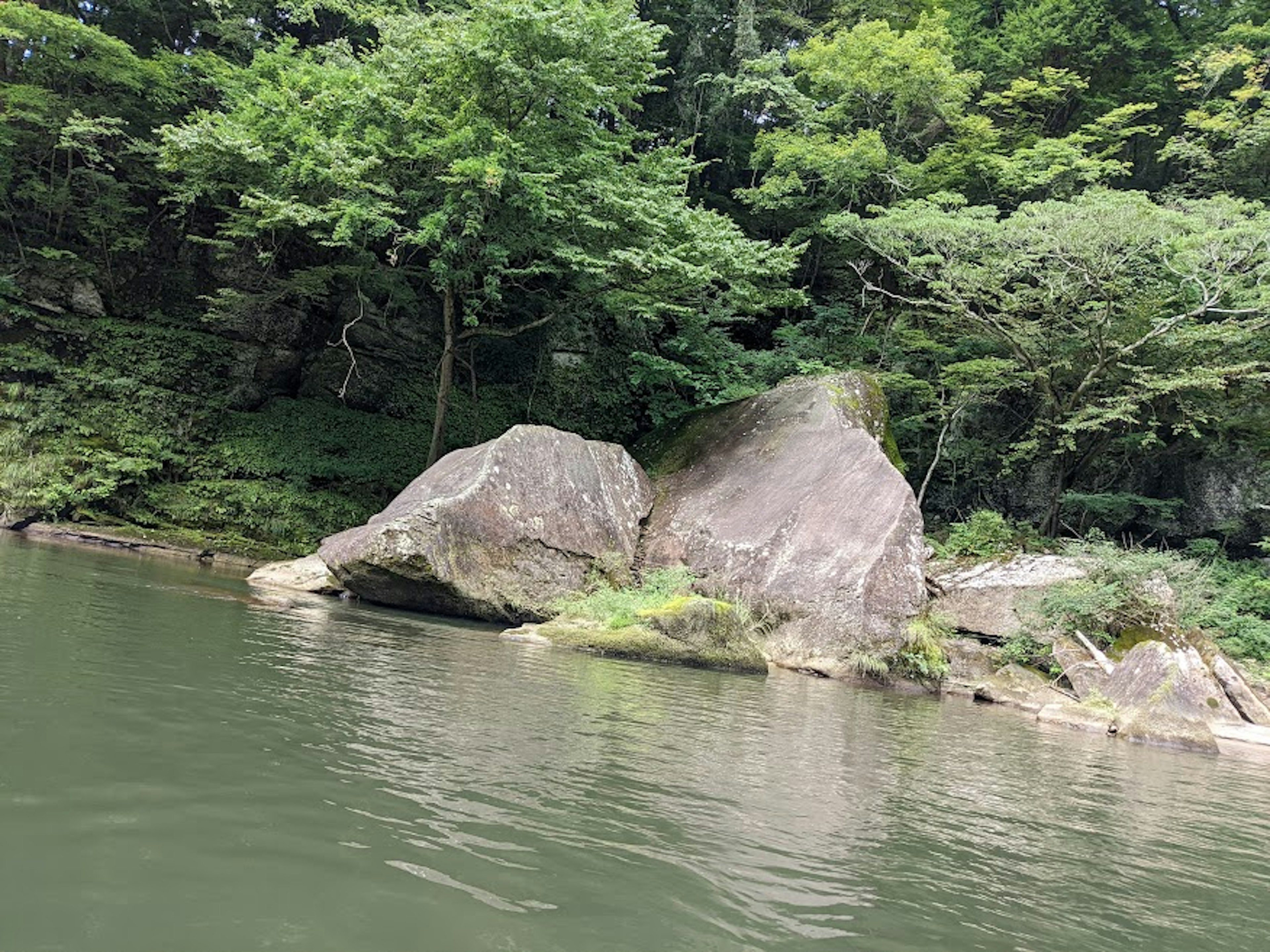 Large rocks near the water surrounded by lush green trees