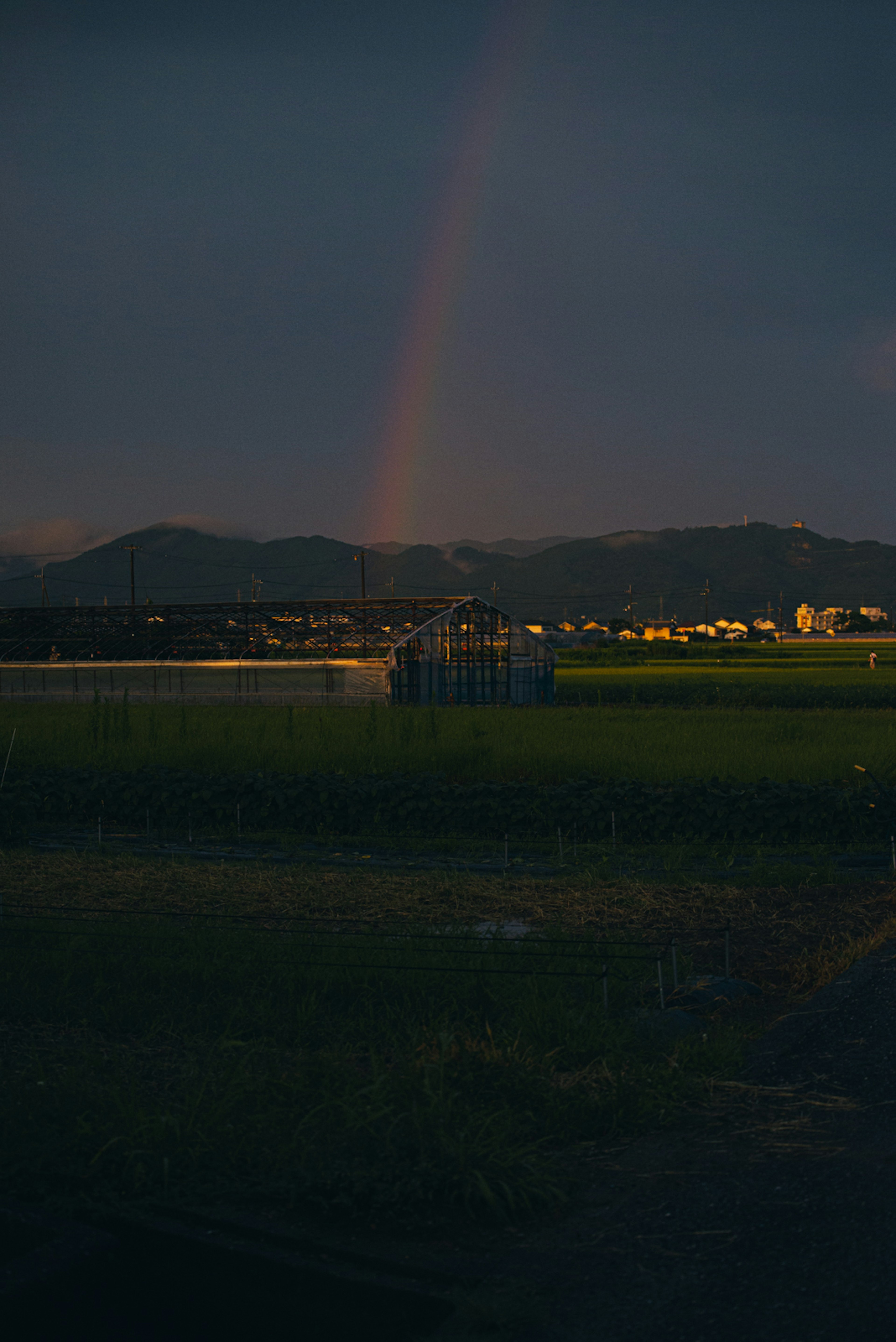 暗い空に架かる虹と田んぼの風景