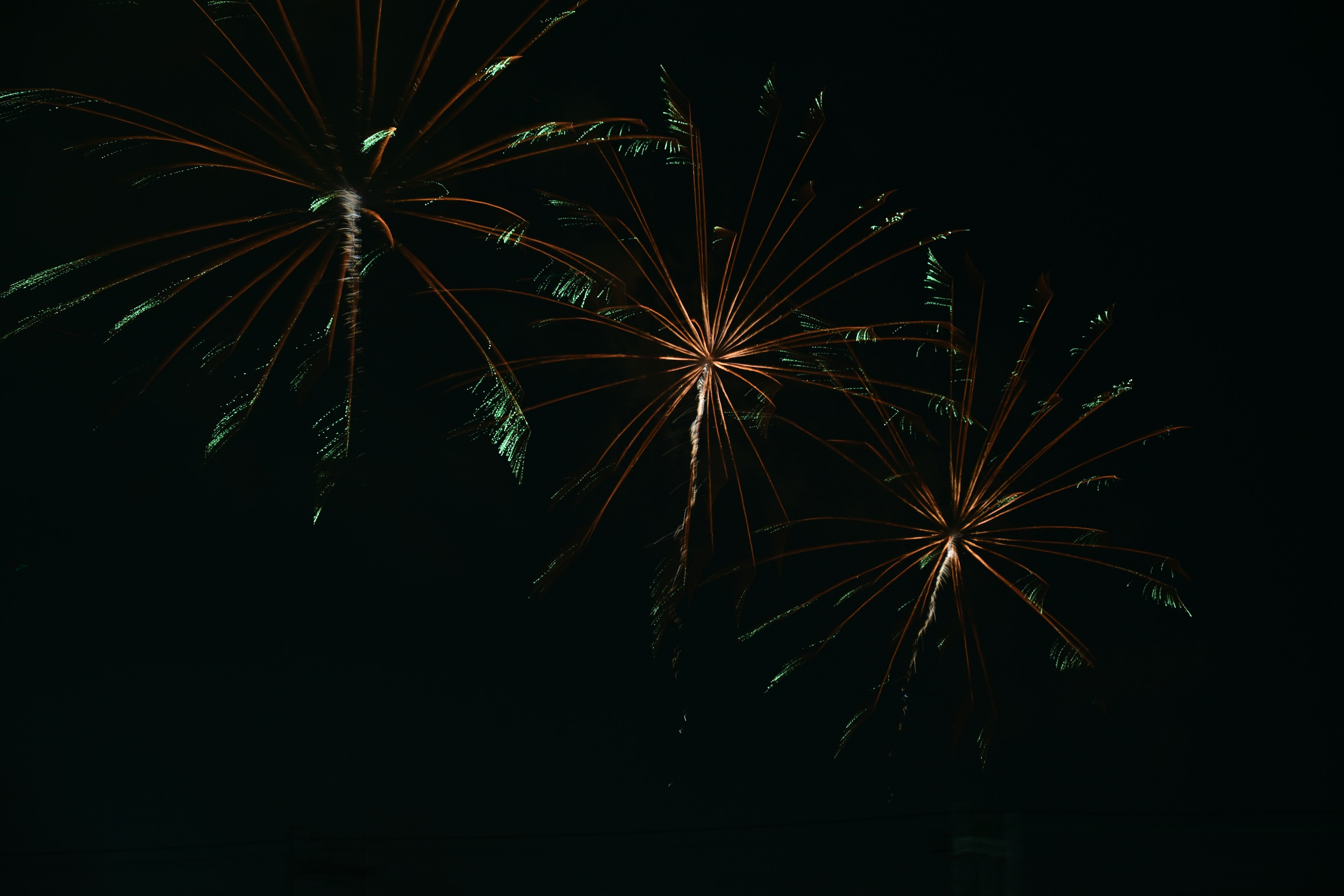 Des feux d'artifice éclatant dans le ciel nocturne