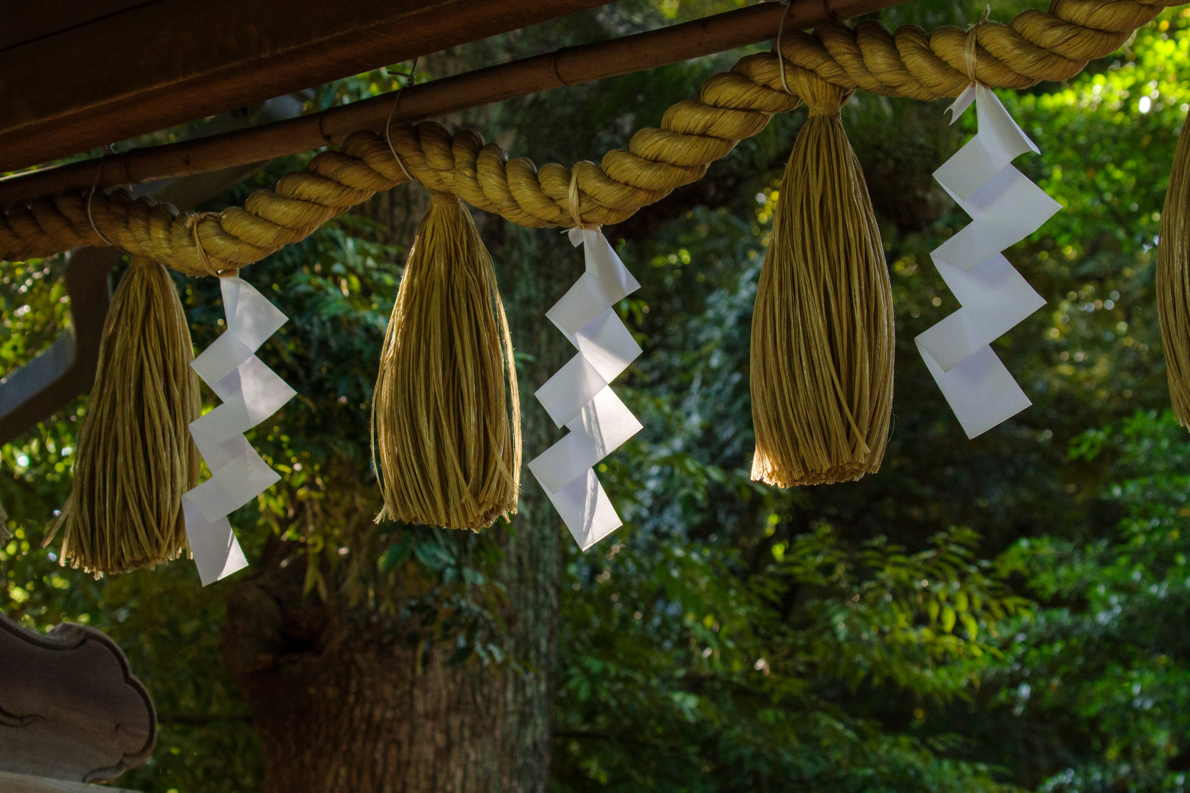 Decoraciones de shide y paja colgadas en un santuario