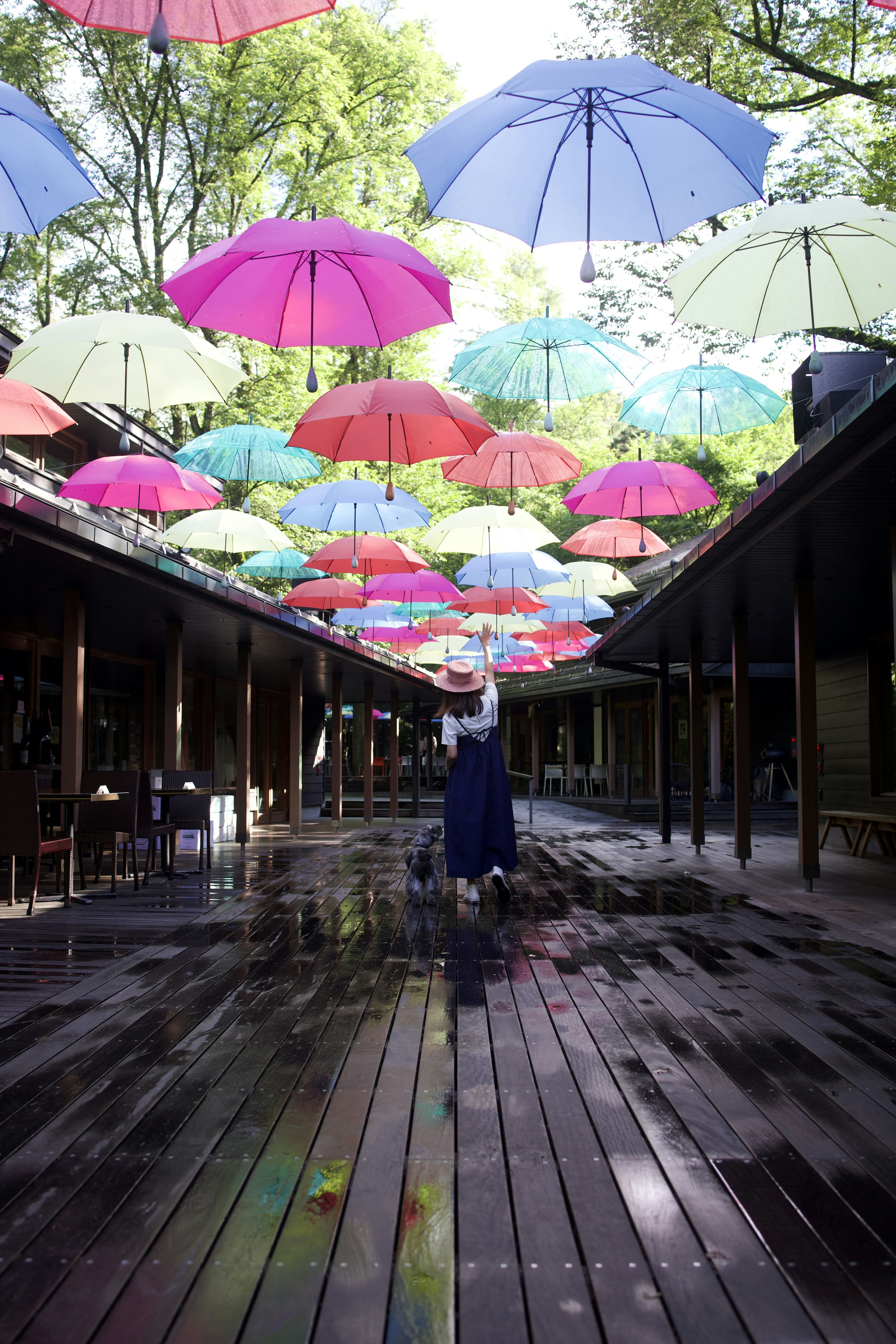 一個人在五彩繽紛的雨傘下走在木頭小道上