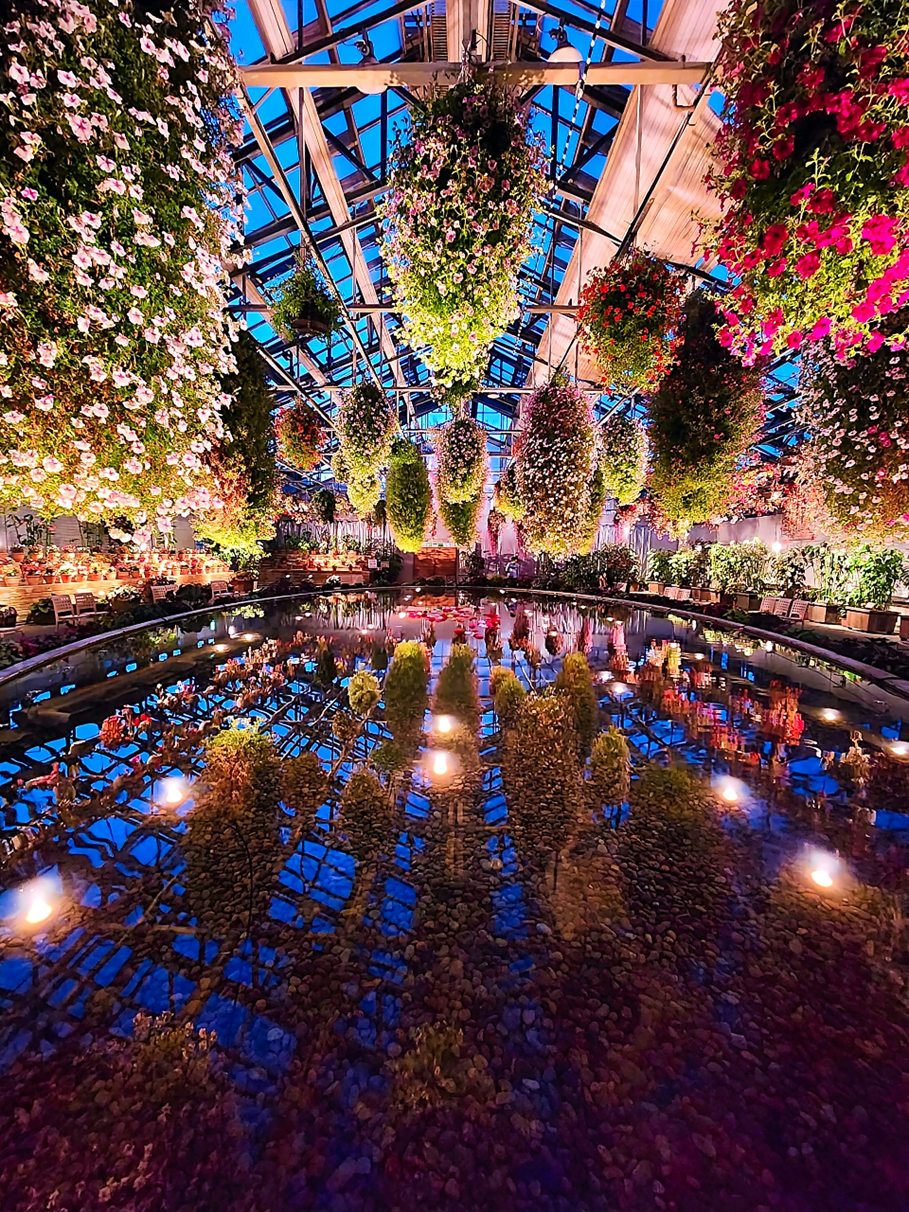 Interior of a greenhouse with beautiful hanging flowers reflecting on the water surface and colorful lighting