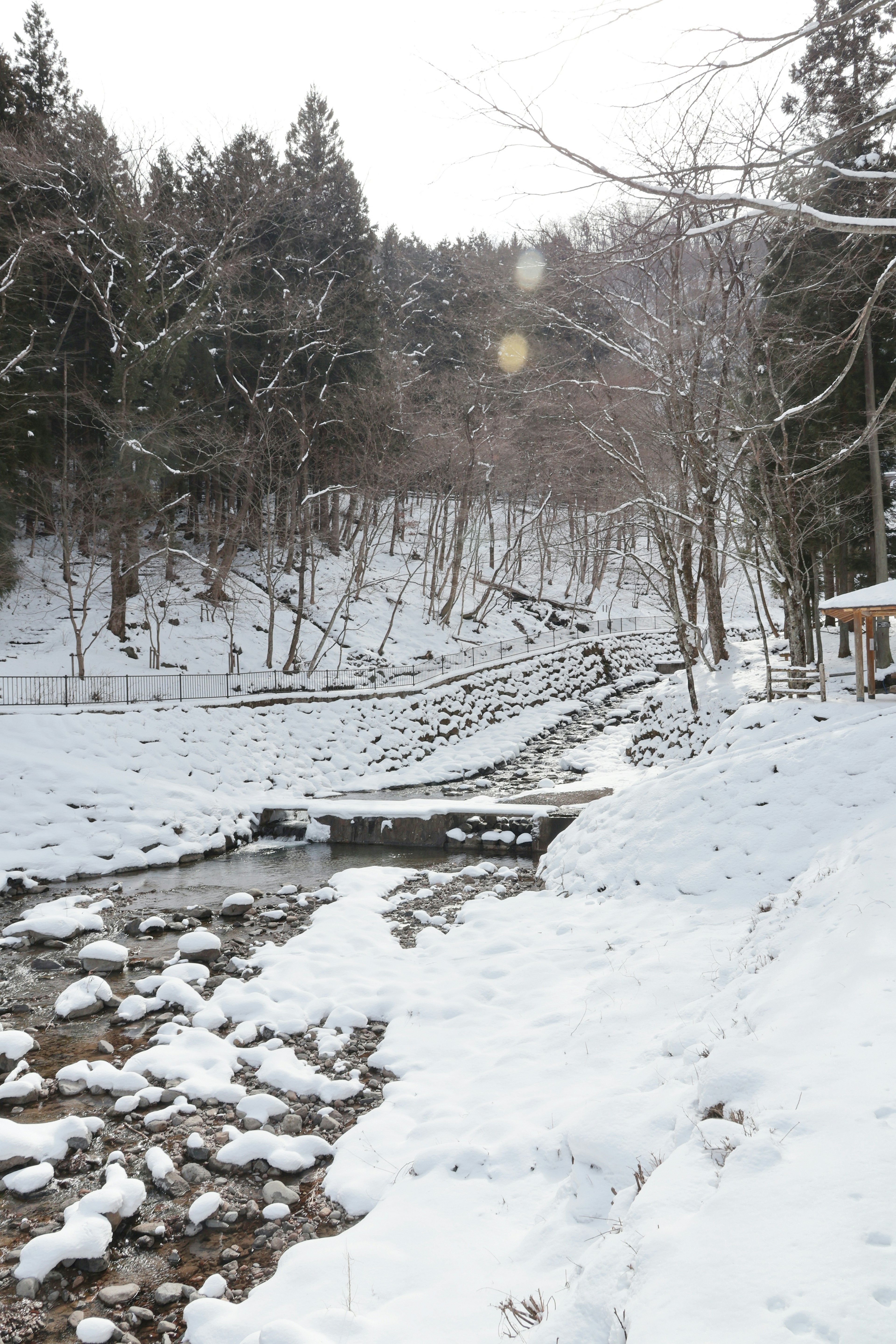 Snow-covered riverbank with trees in winter scenery