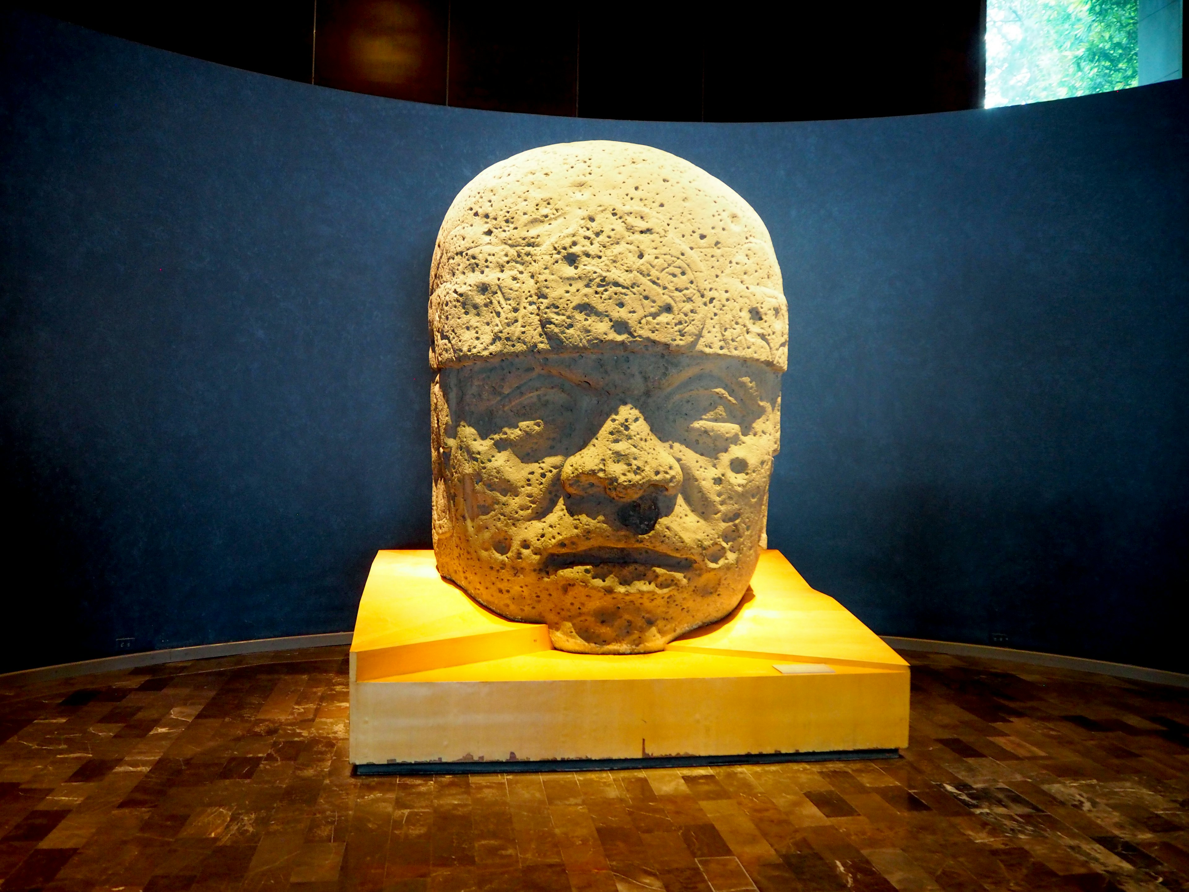 Olmec colossal stone head displayed in a museum interior