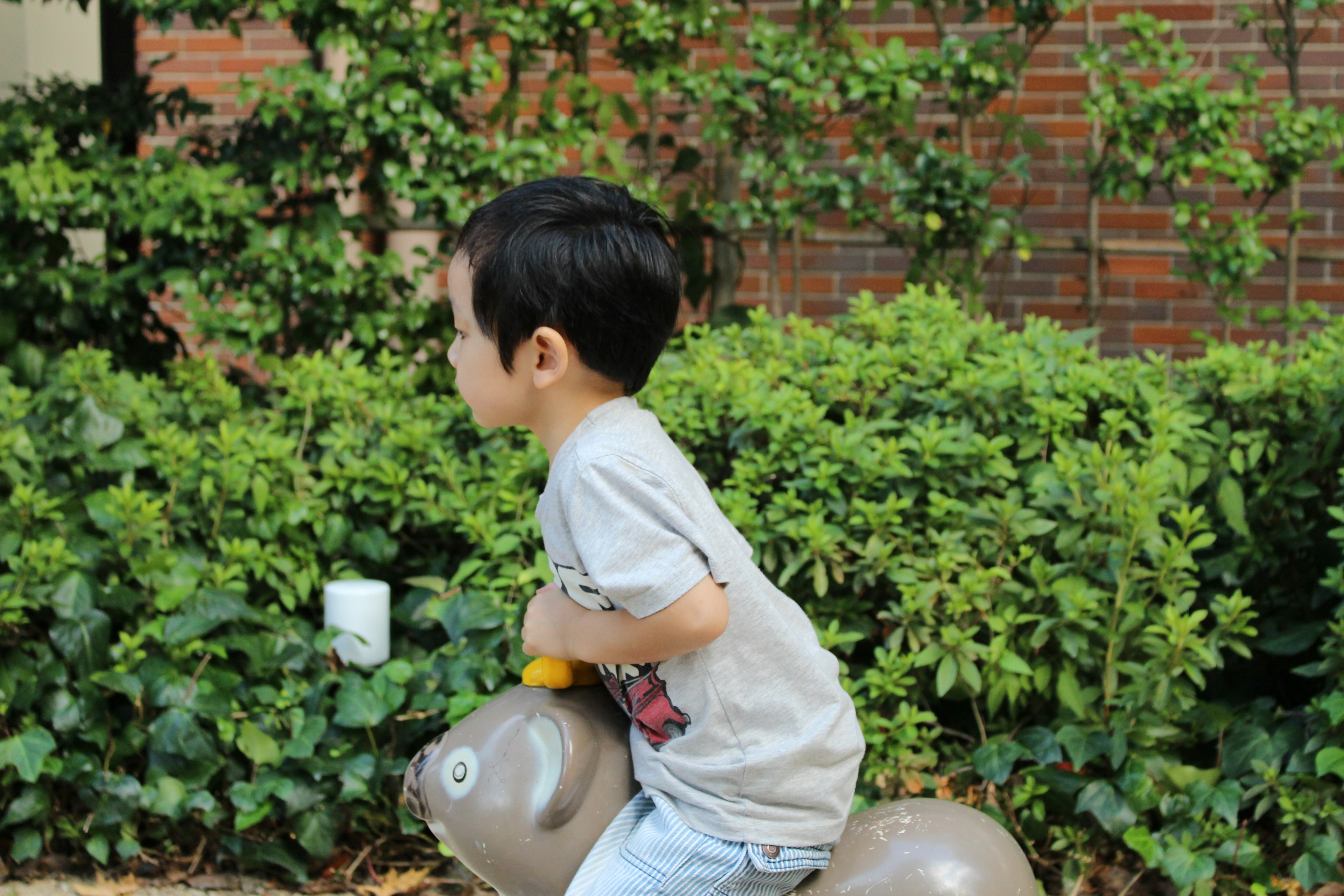 Un niño montando un juguete frente a una vegetación exuberante