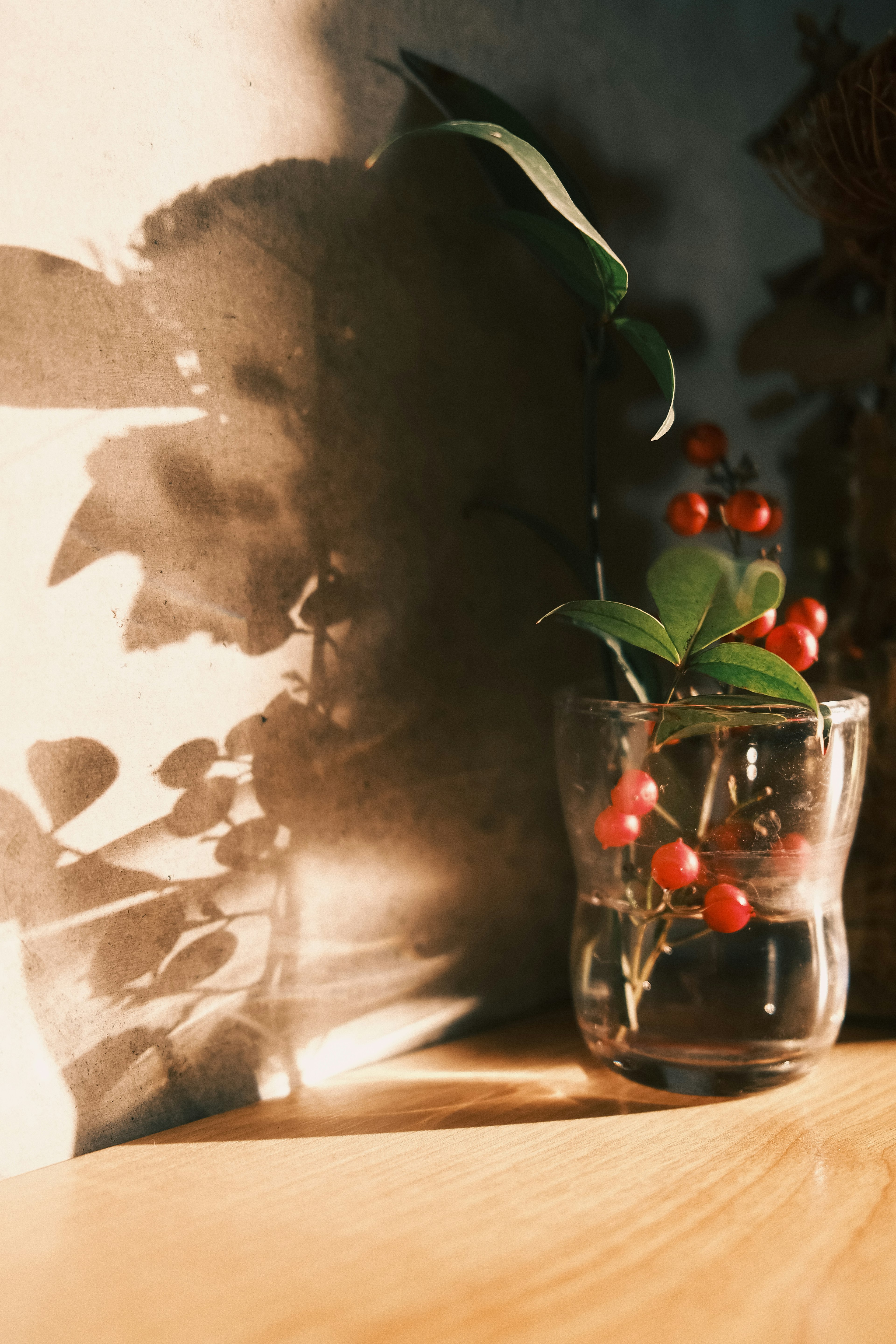 A glass cup containing red berries and green leaves placed by a window casting shadows