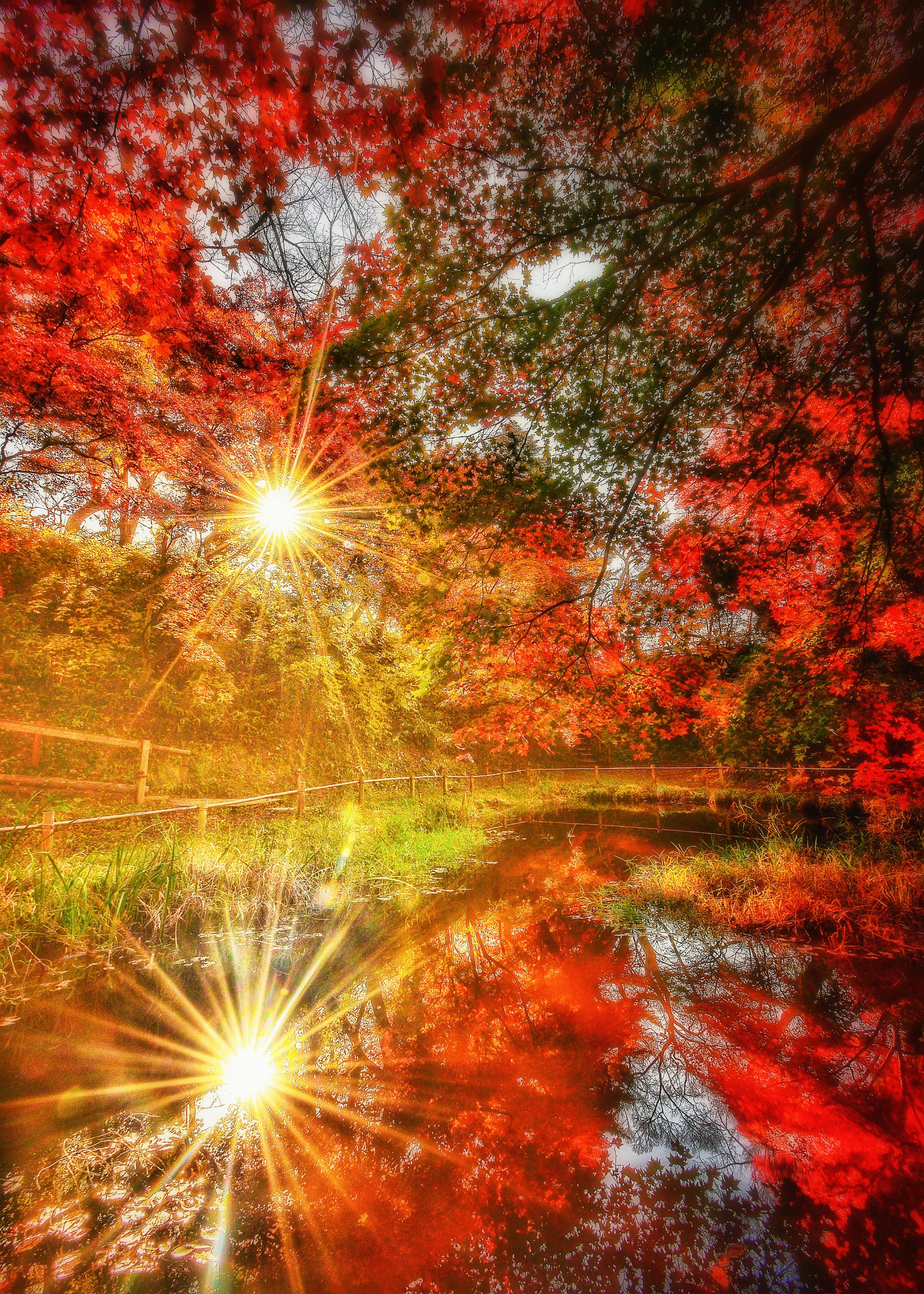 Schöne Herbstlaub spiegelt sich in einem ruhigen Teich