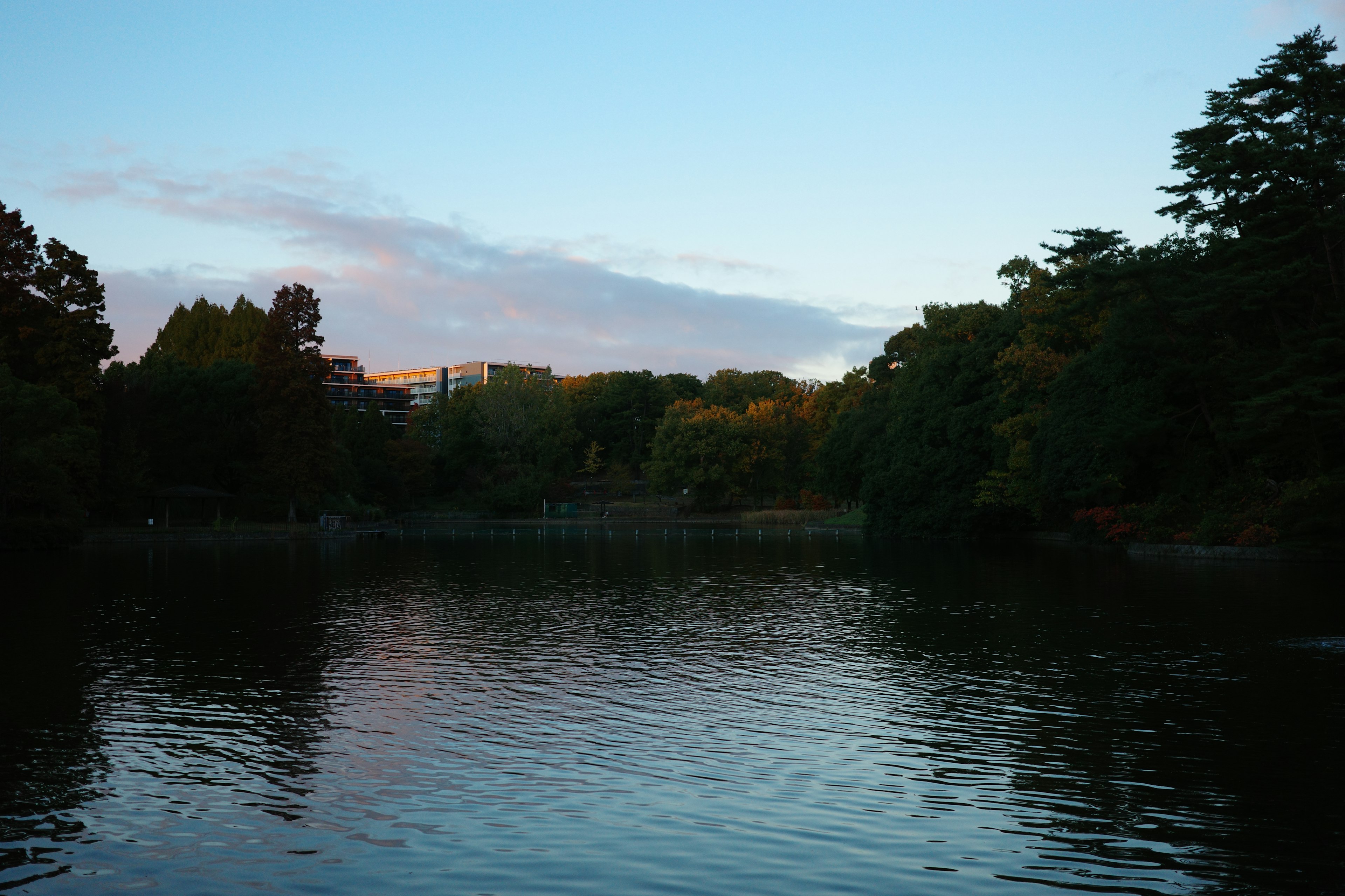 Serene lake view with blue sky and lush green trees