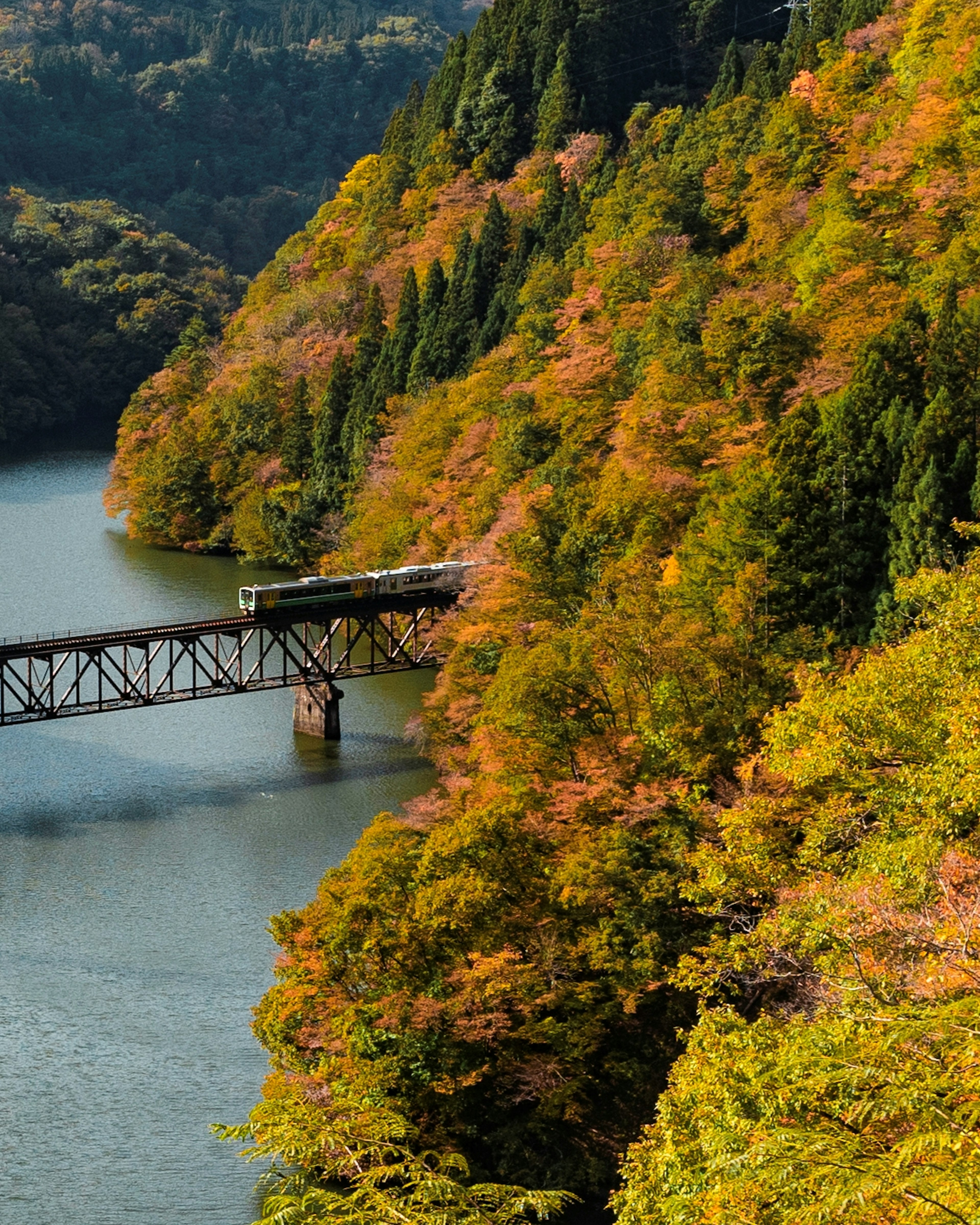 色とりどりの秋の葉に囲まれた川にかかる鉄道橋の風景