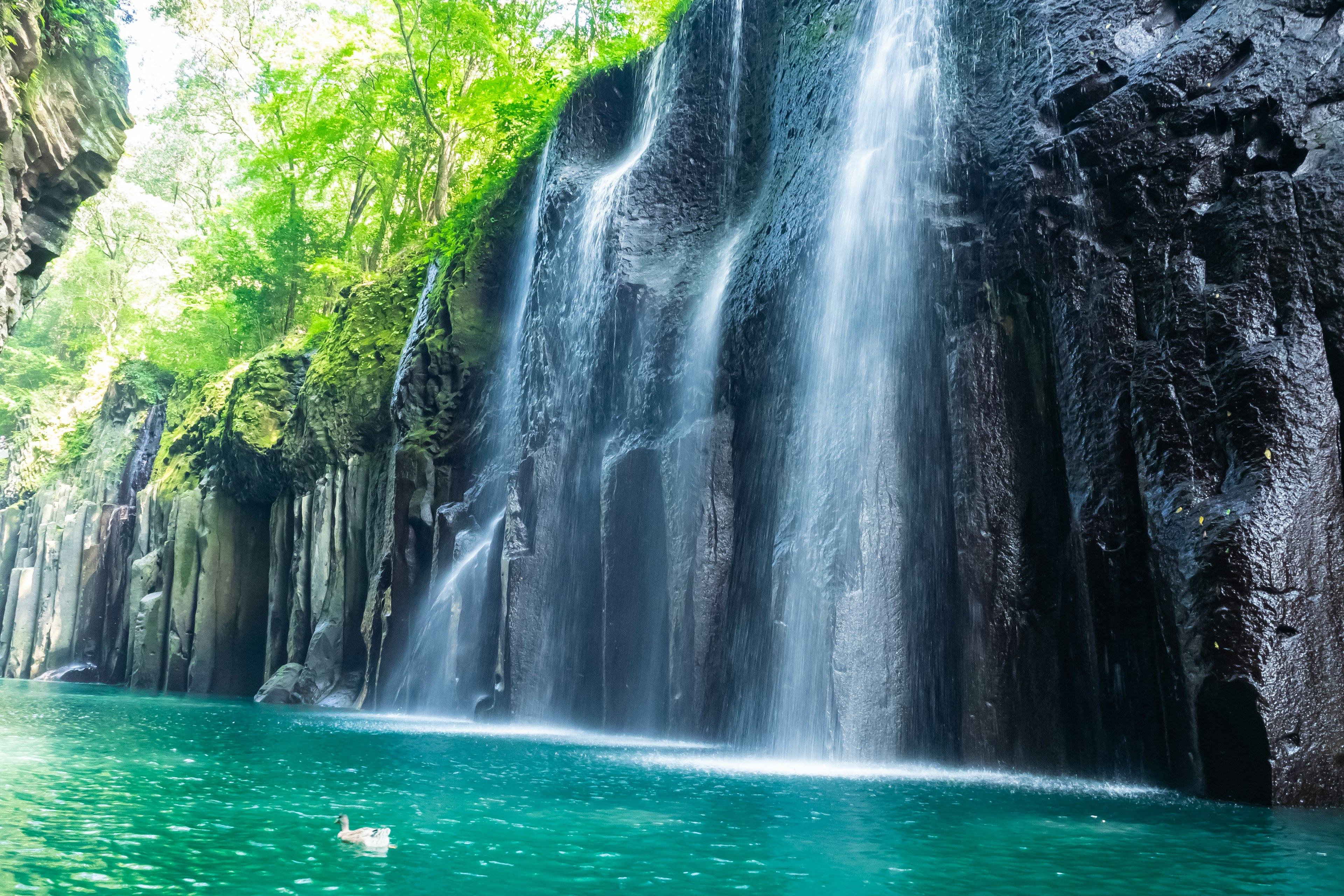 Waterfall cascading into turquoise waters surrounded by lush greenery