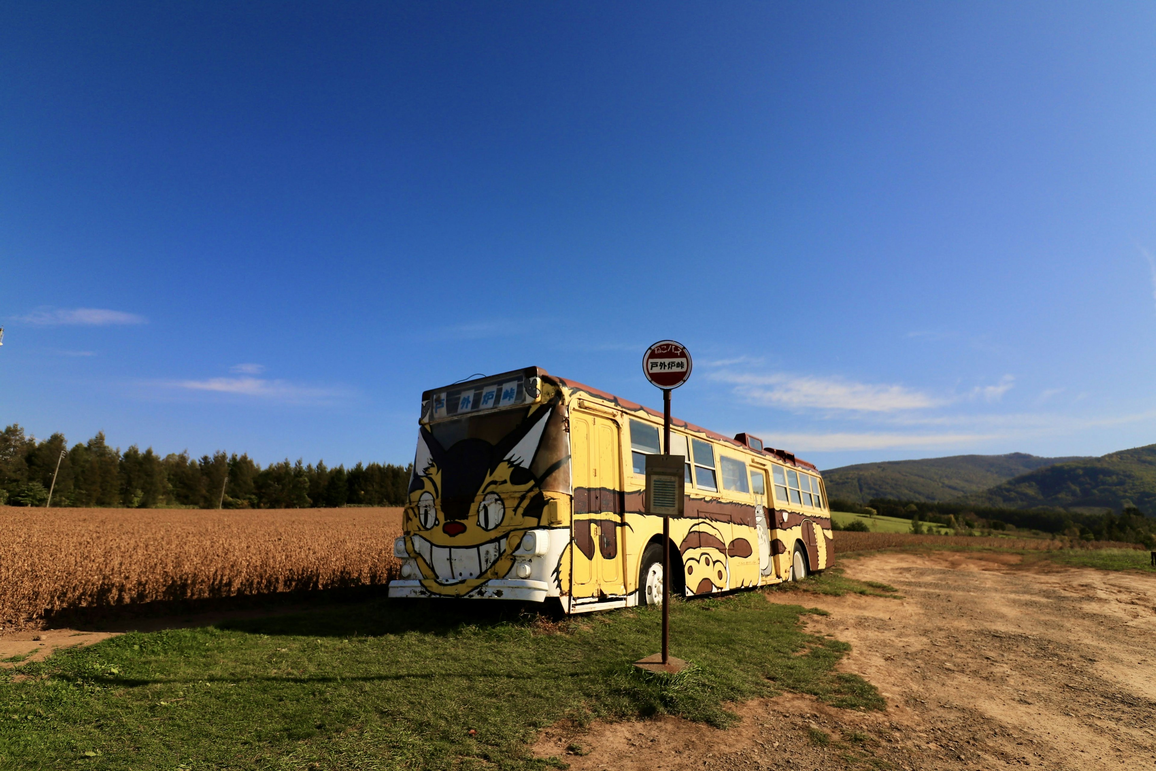 Bus kuning di lanskap pedesaan dengan langit biru