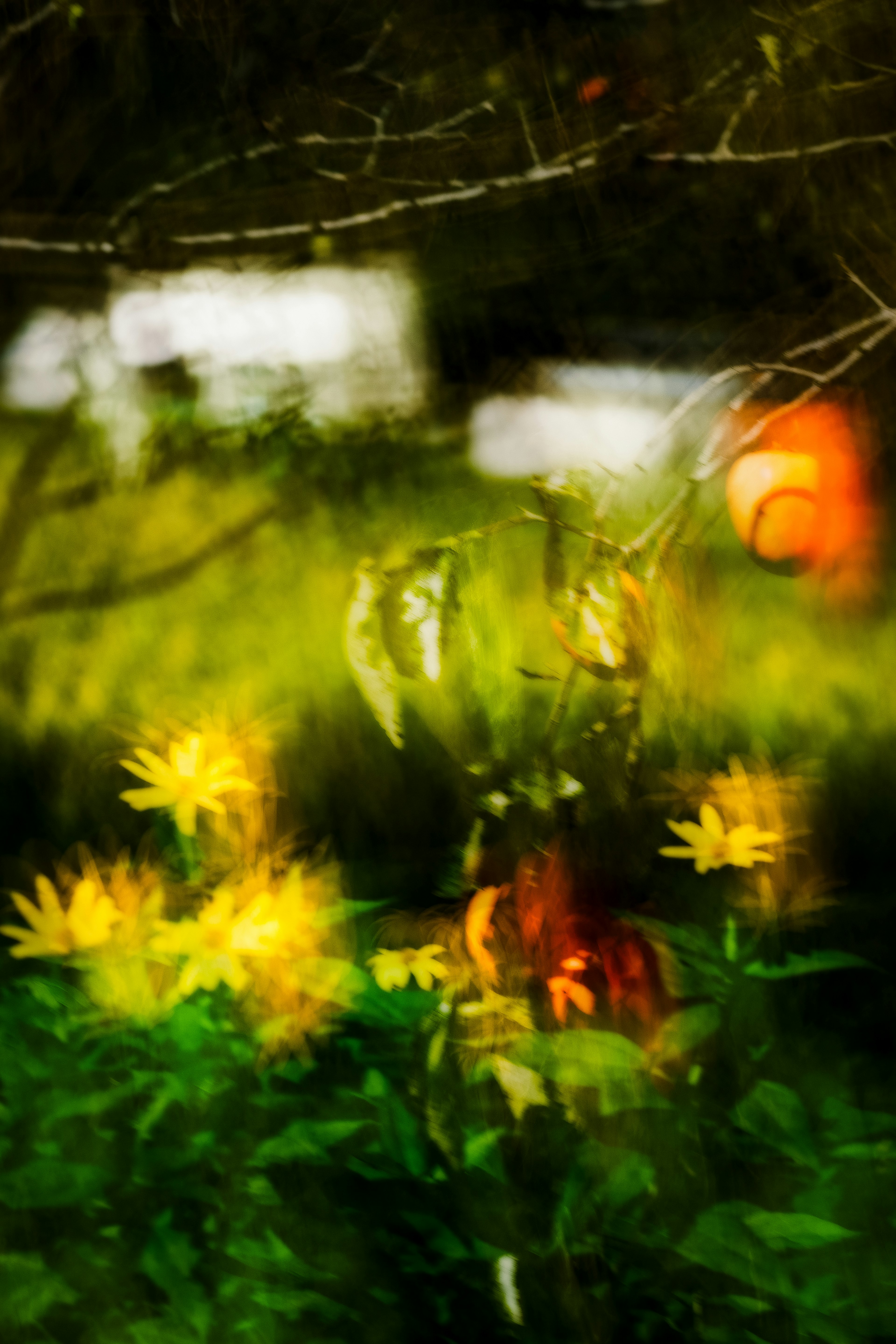 A blurred background featuring yellow flowers and green leaves