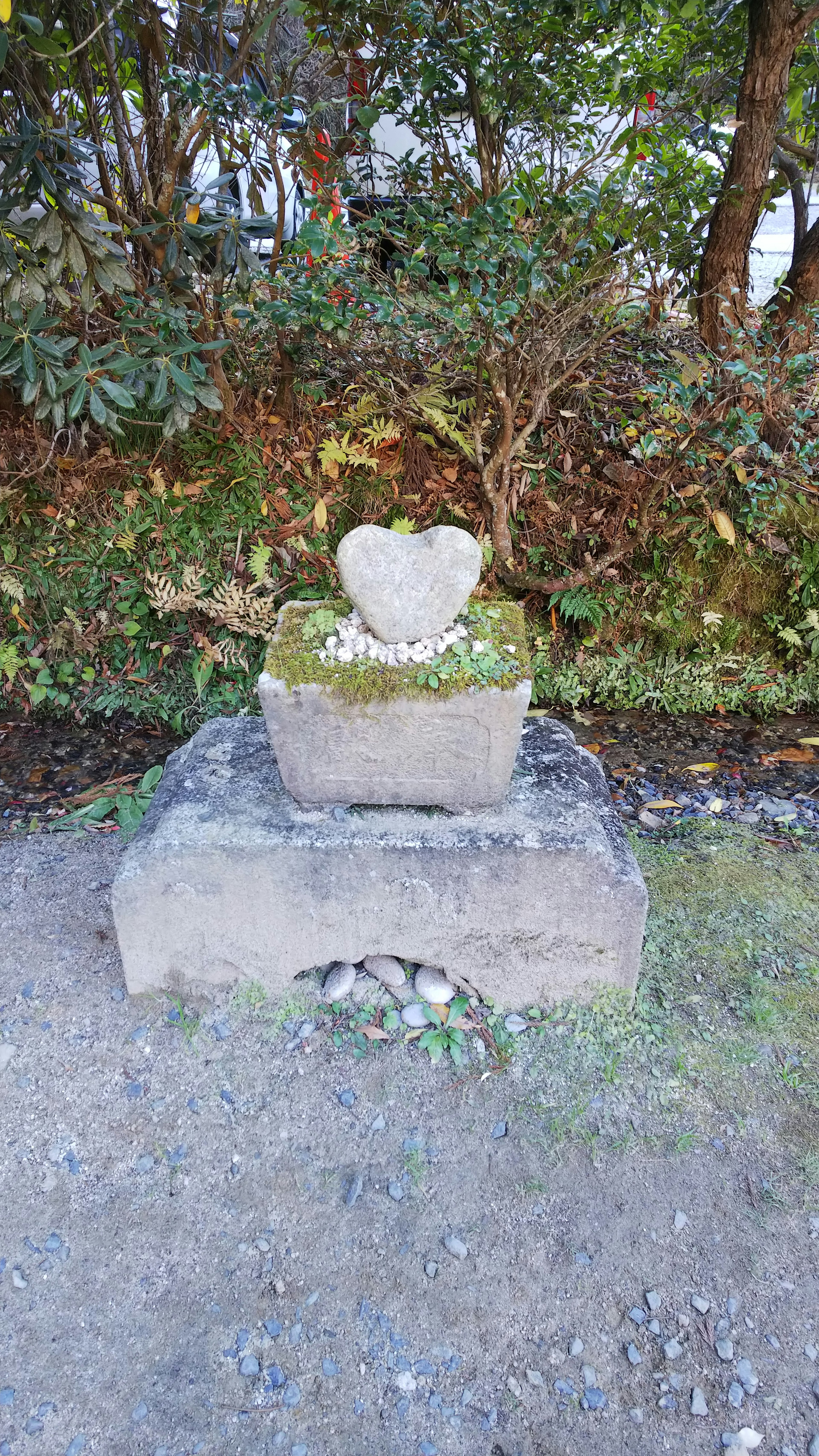 ハート型の石が緑の植物に囲まれている風景