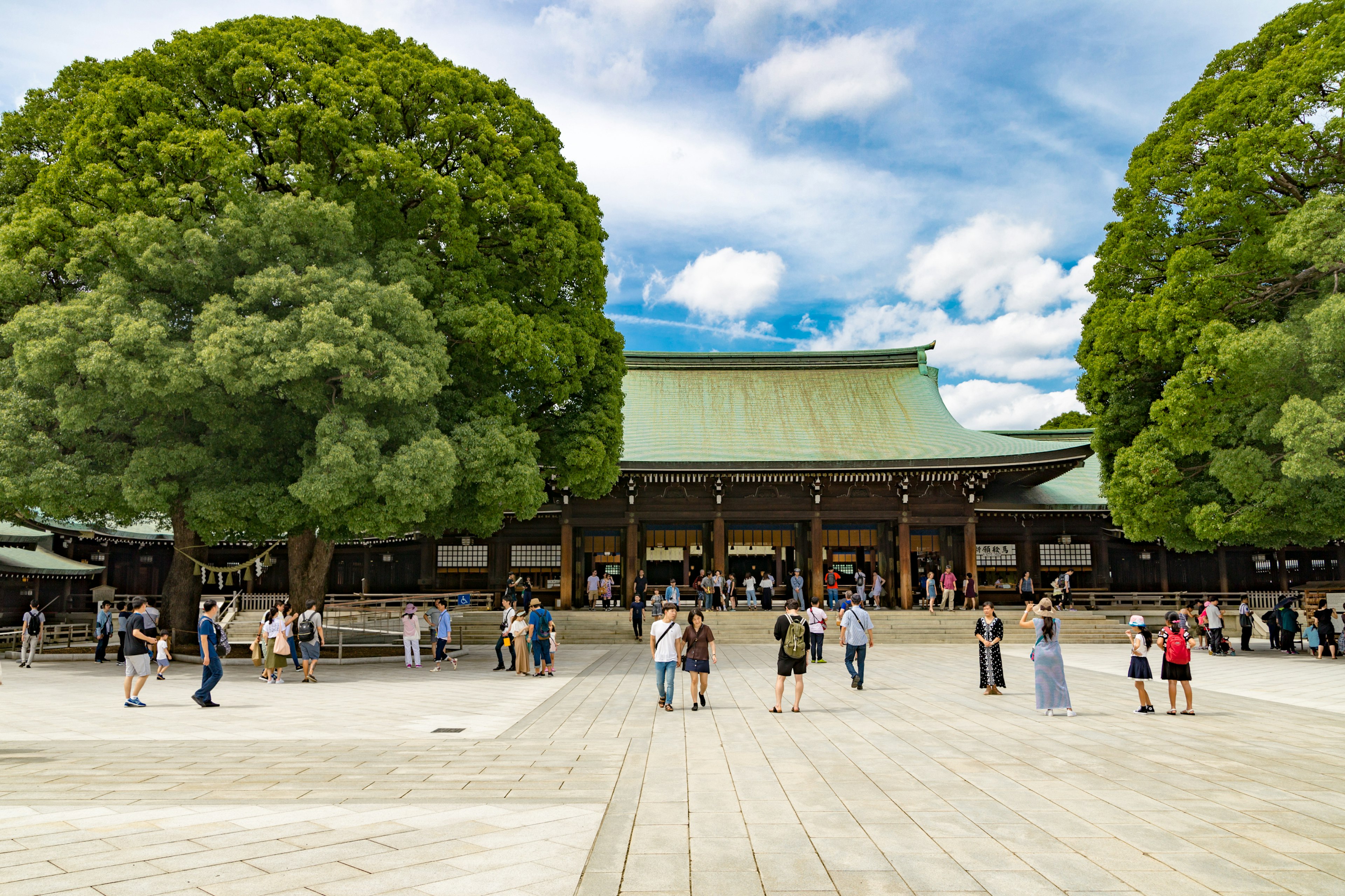 Visitatori al Santuario Meiji circondati da grandi alberi sotto un cielo blu