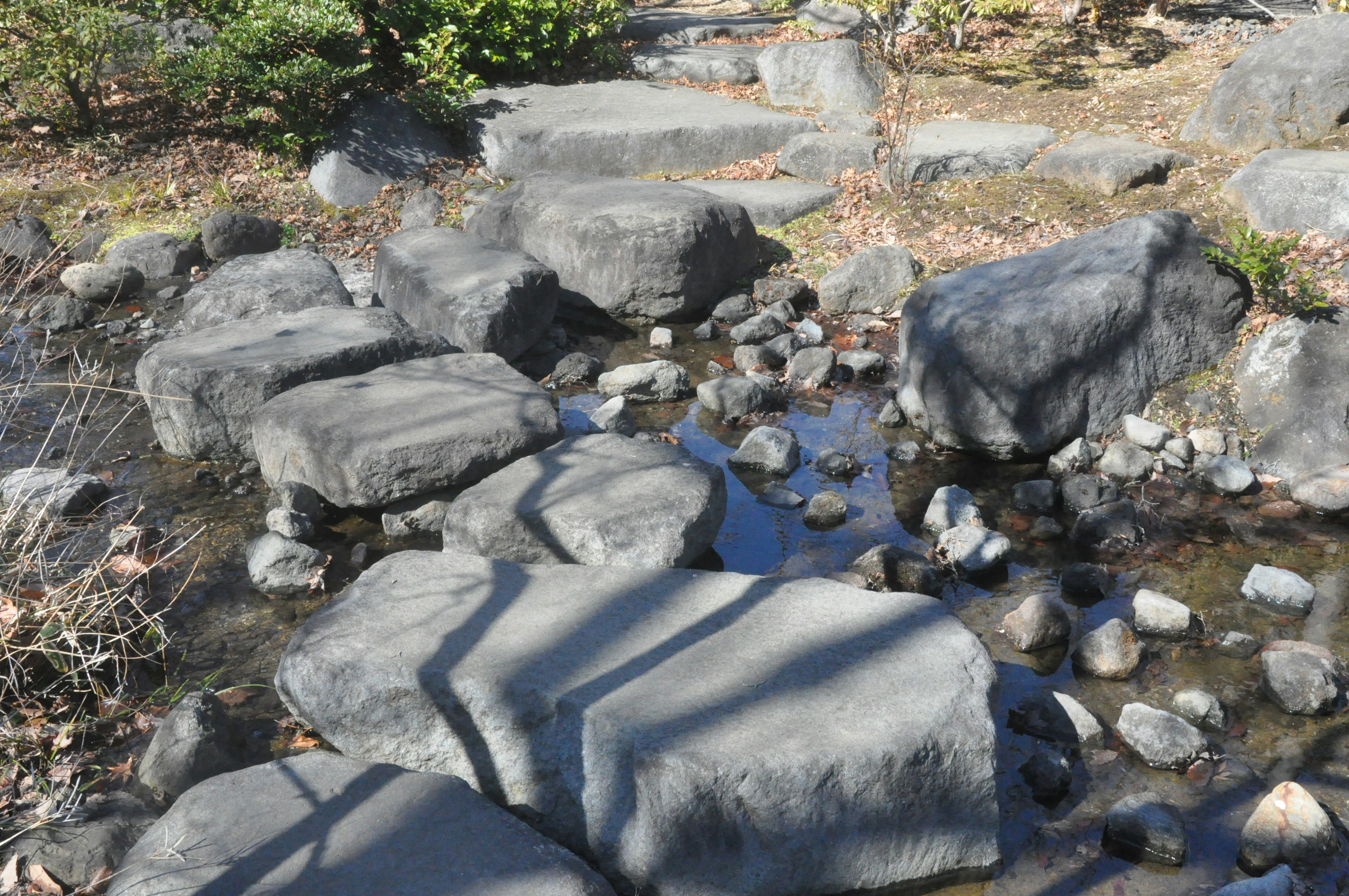 View of a Japanese garden pond with rocks and pebbles