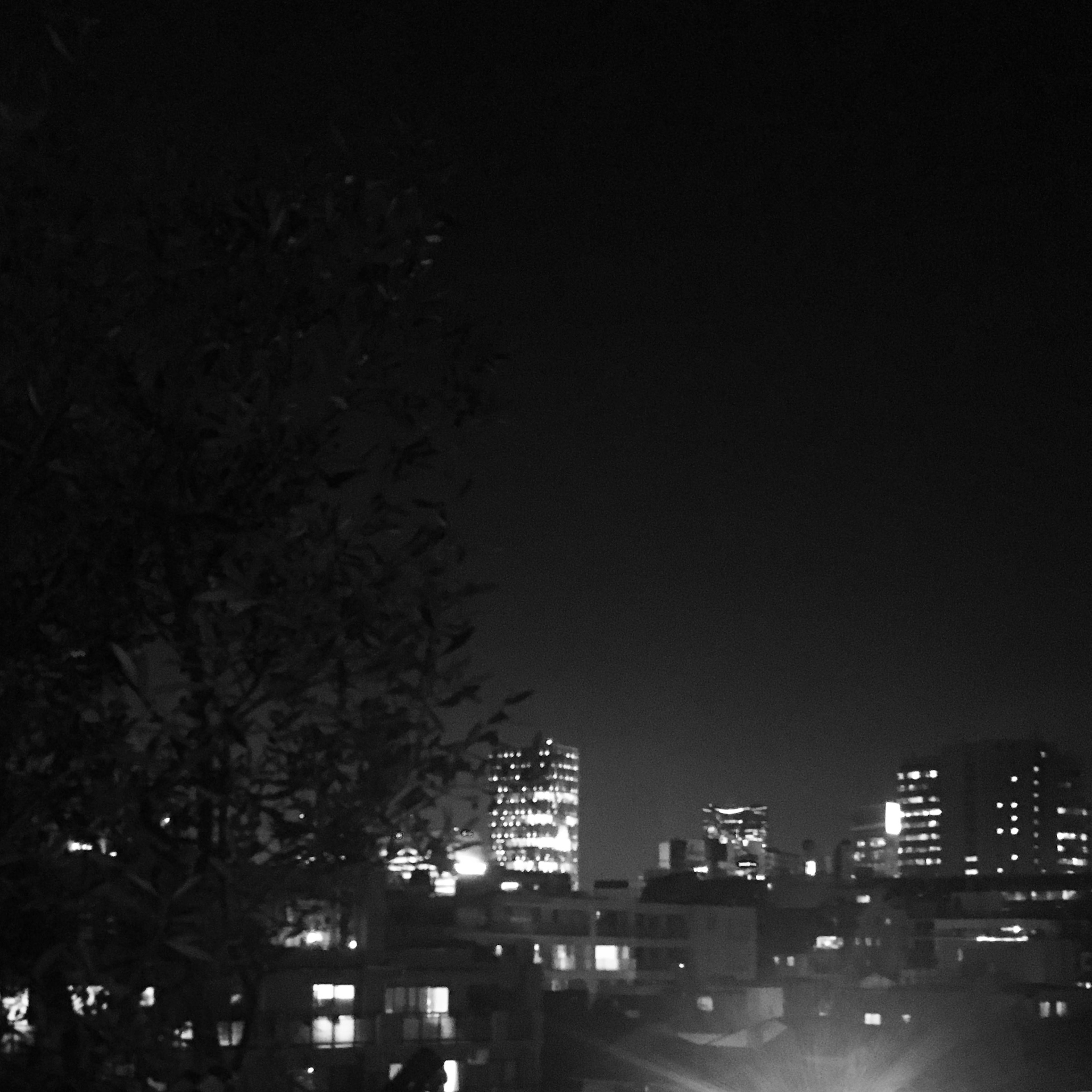 Black and white night cityscape featuring skyscrapers and tree silhouette