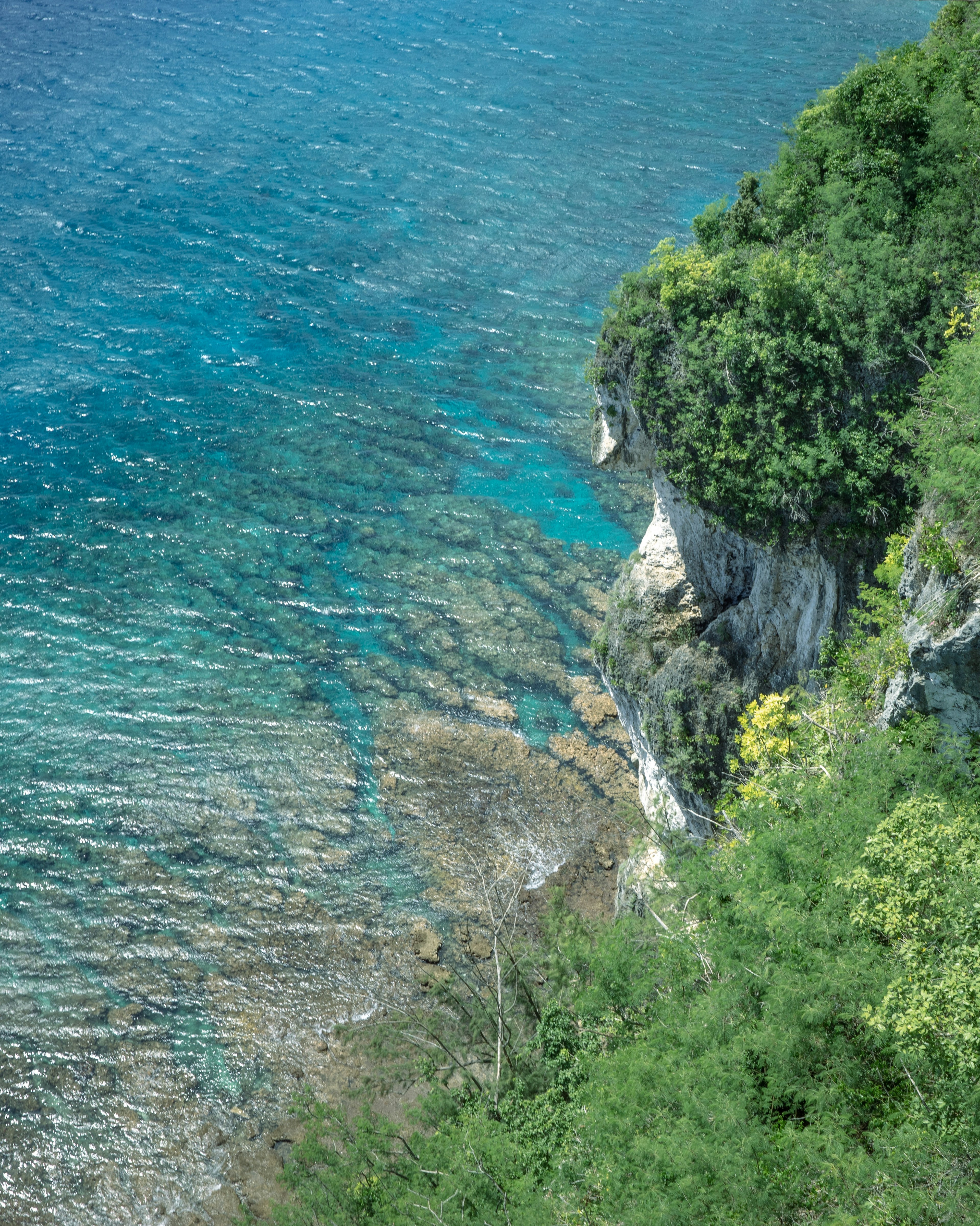 Pemandangan indah dari pantai berbatu dengan air turquoise dan vegetasi yang rimbun