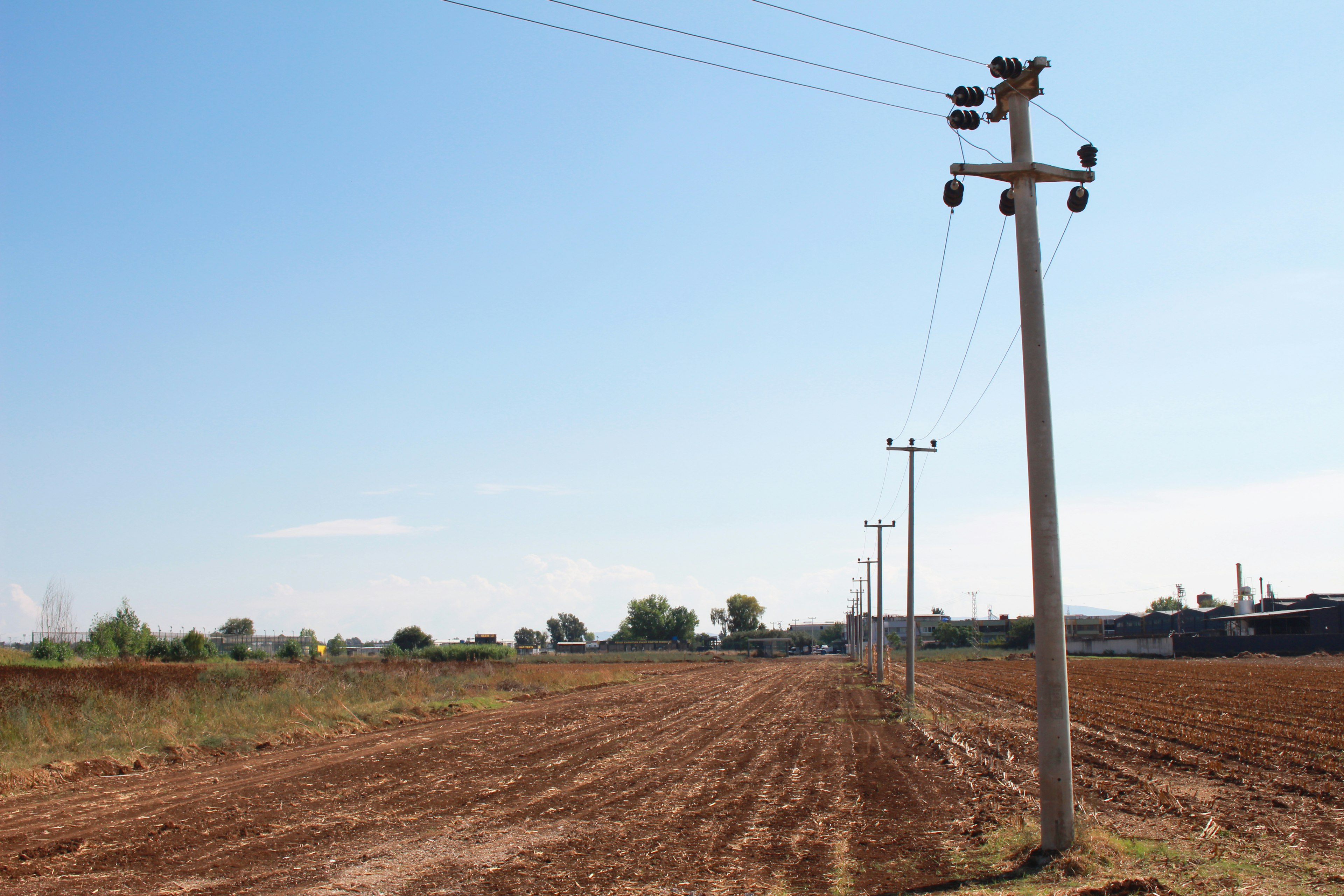 Expansive farmland with utility poles lined along the horizon