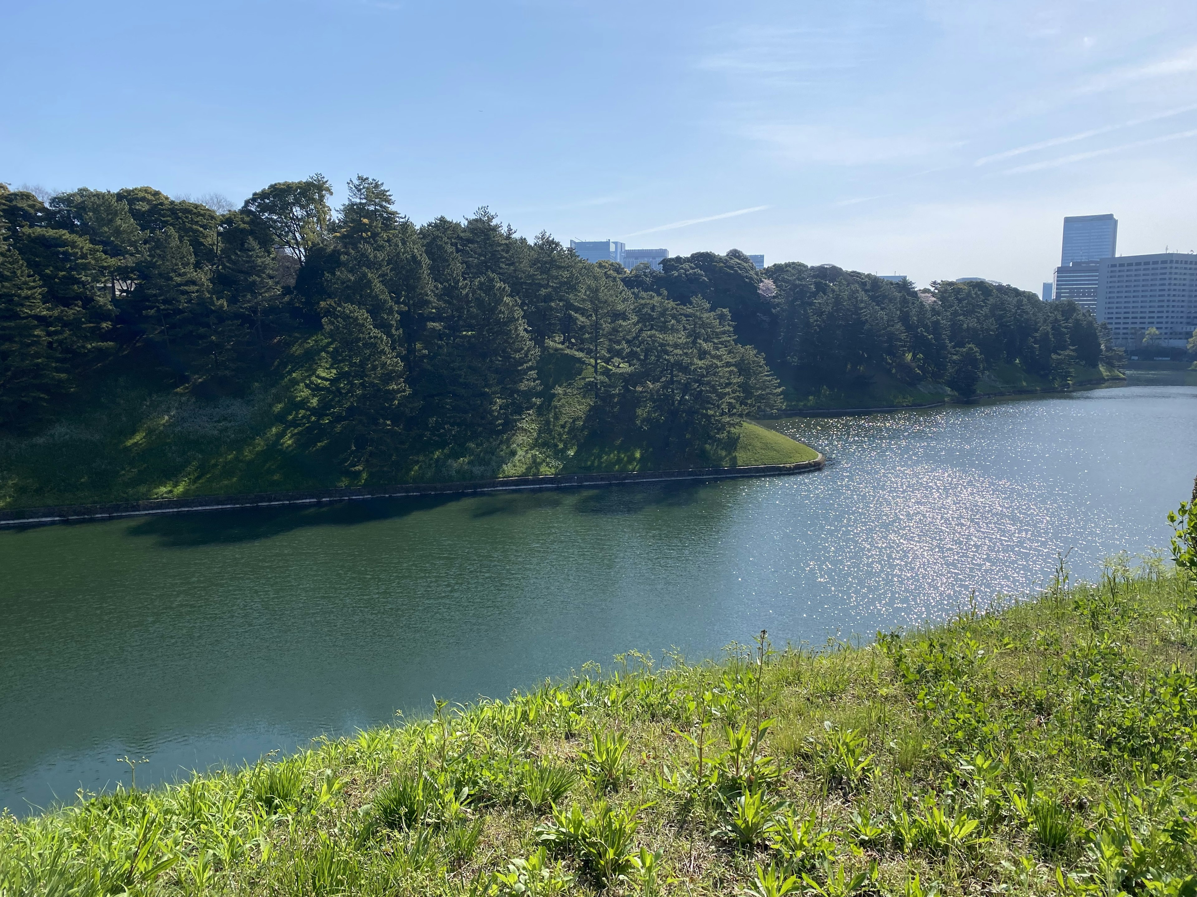 河流的风景，绿意盎然的岸边和宁静的水面