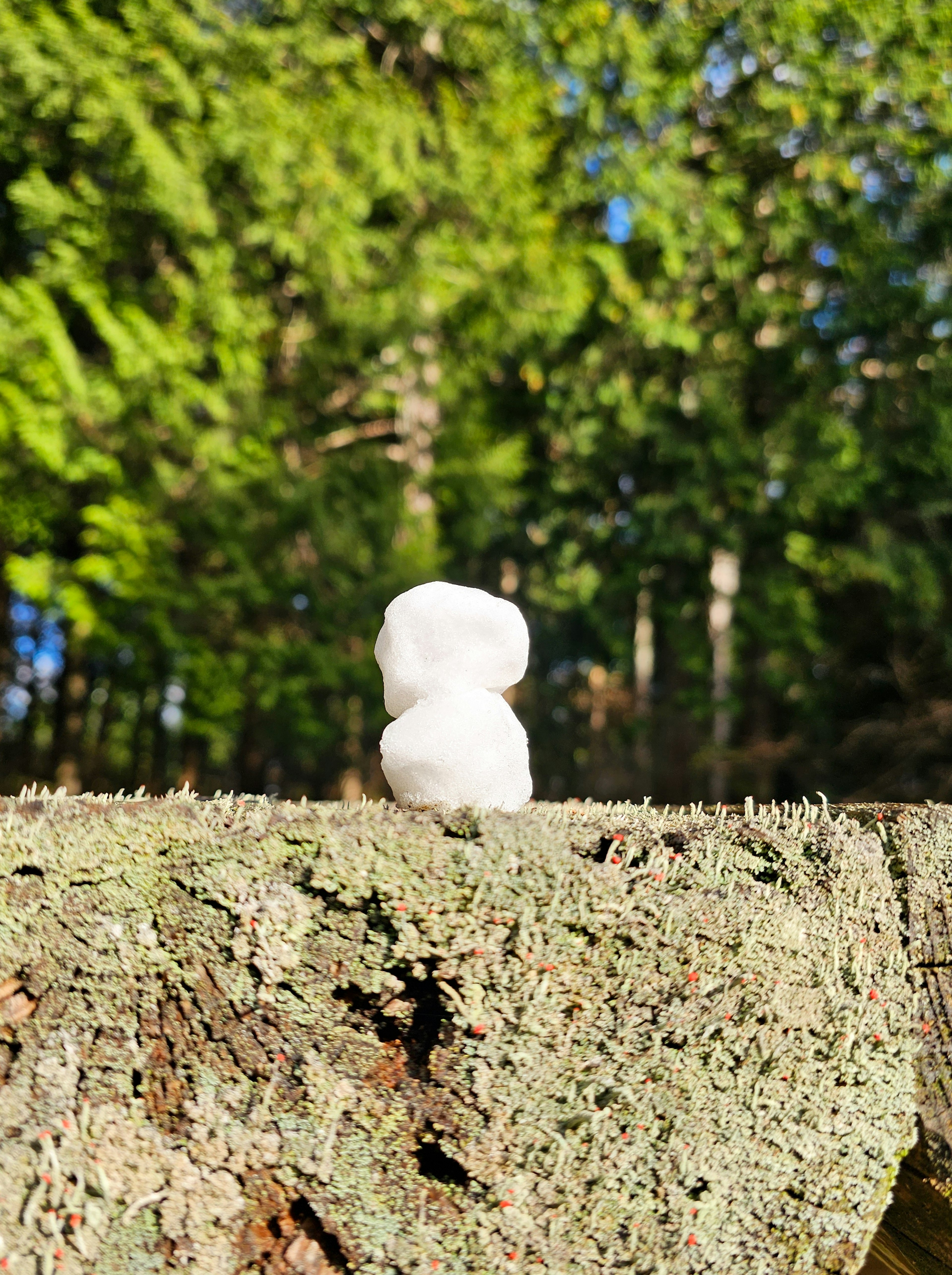 White object standing on a tree stump with a green background