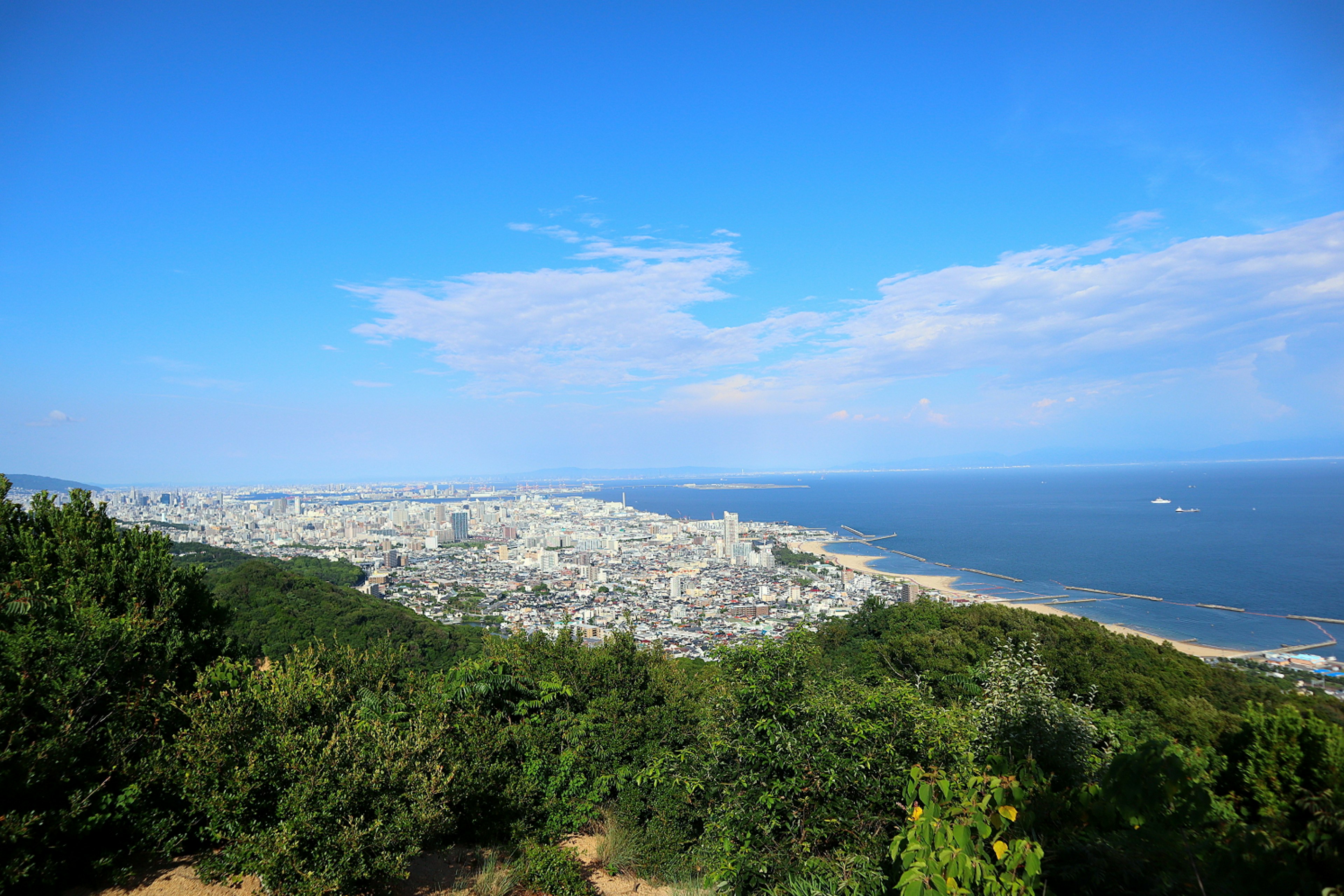 從綠色山坡俯瞰海洋和城市的全景