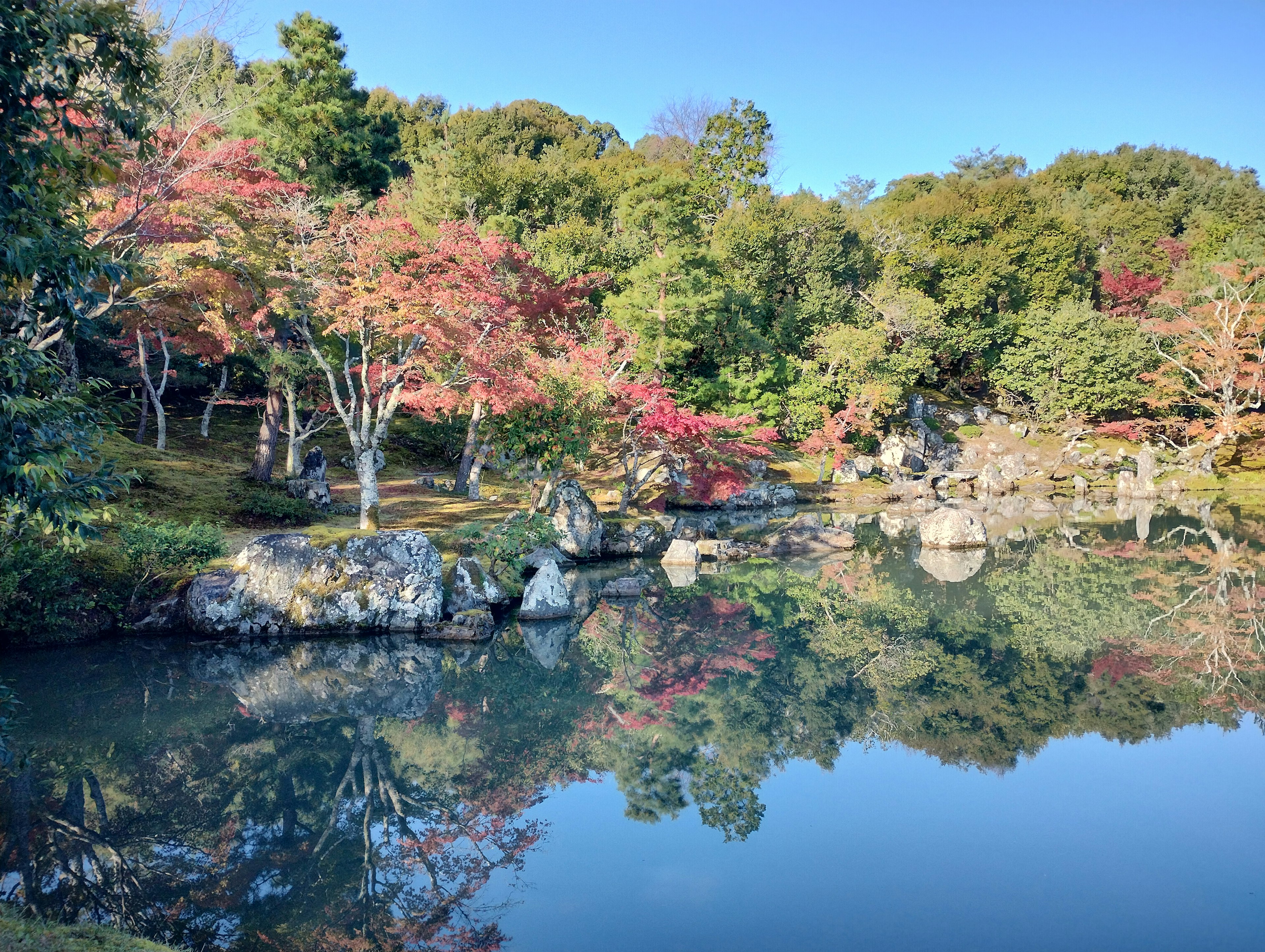 Serene reflection of autumn foliage and green trees on calm water