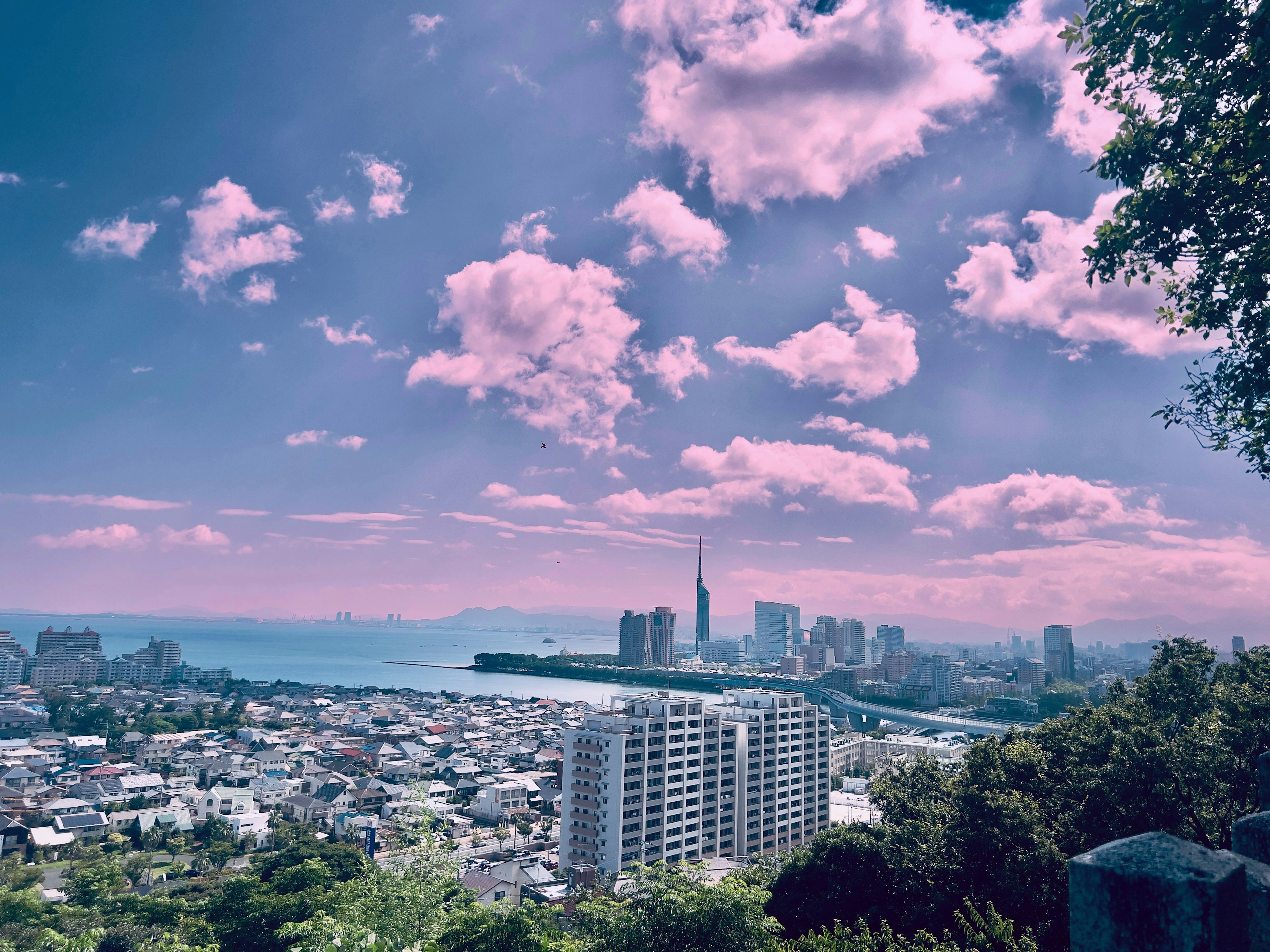 Scenic city view with vibrant clouds and ocean skyline