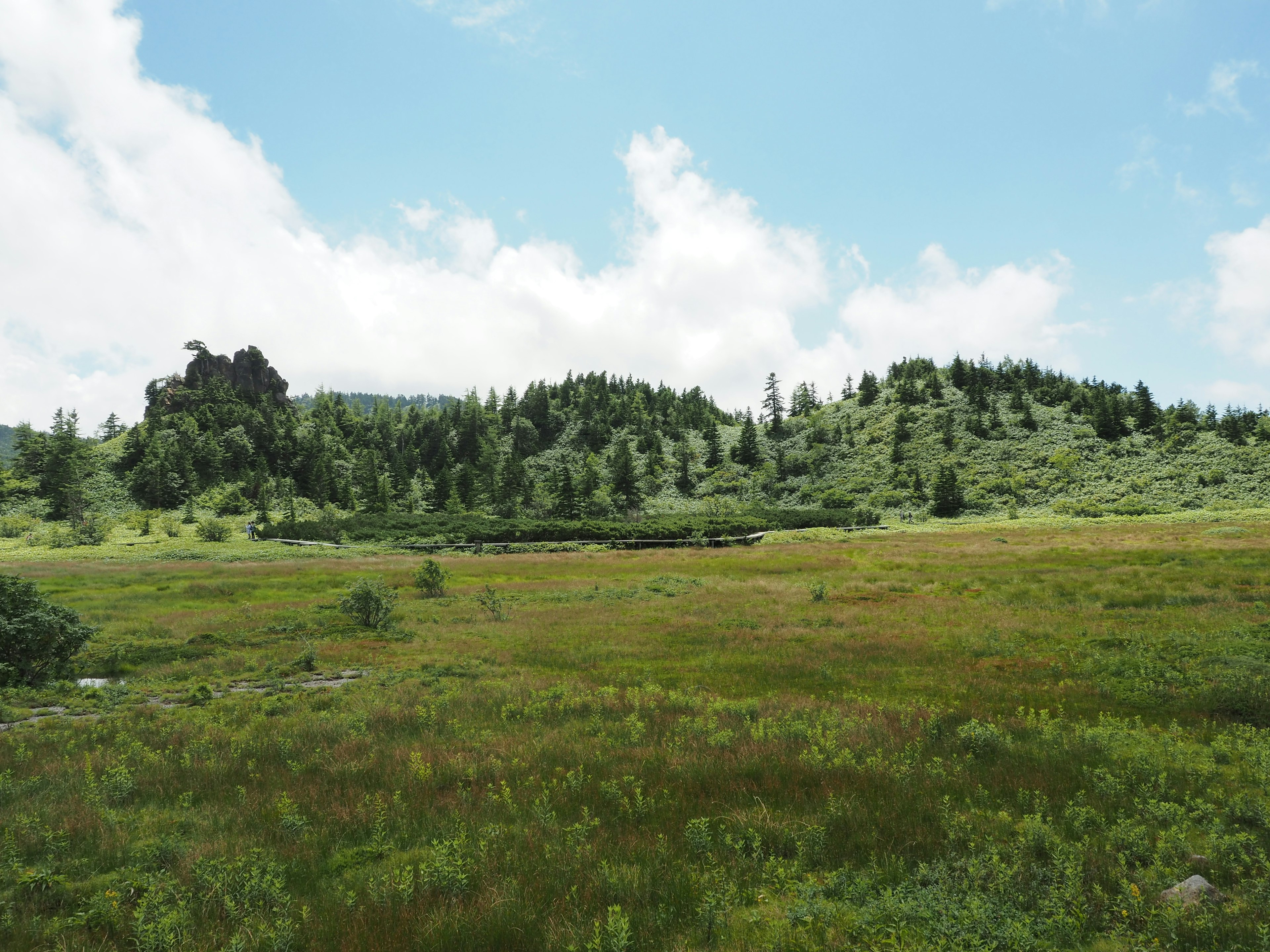 Grüne Wiese mit Hügeln und blauem Himmel