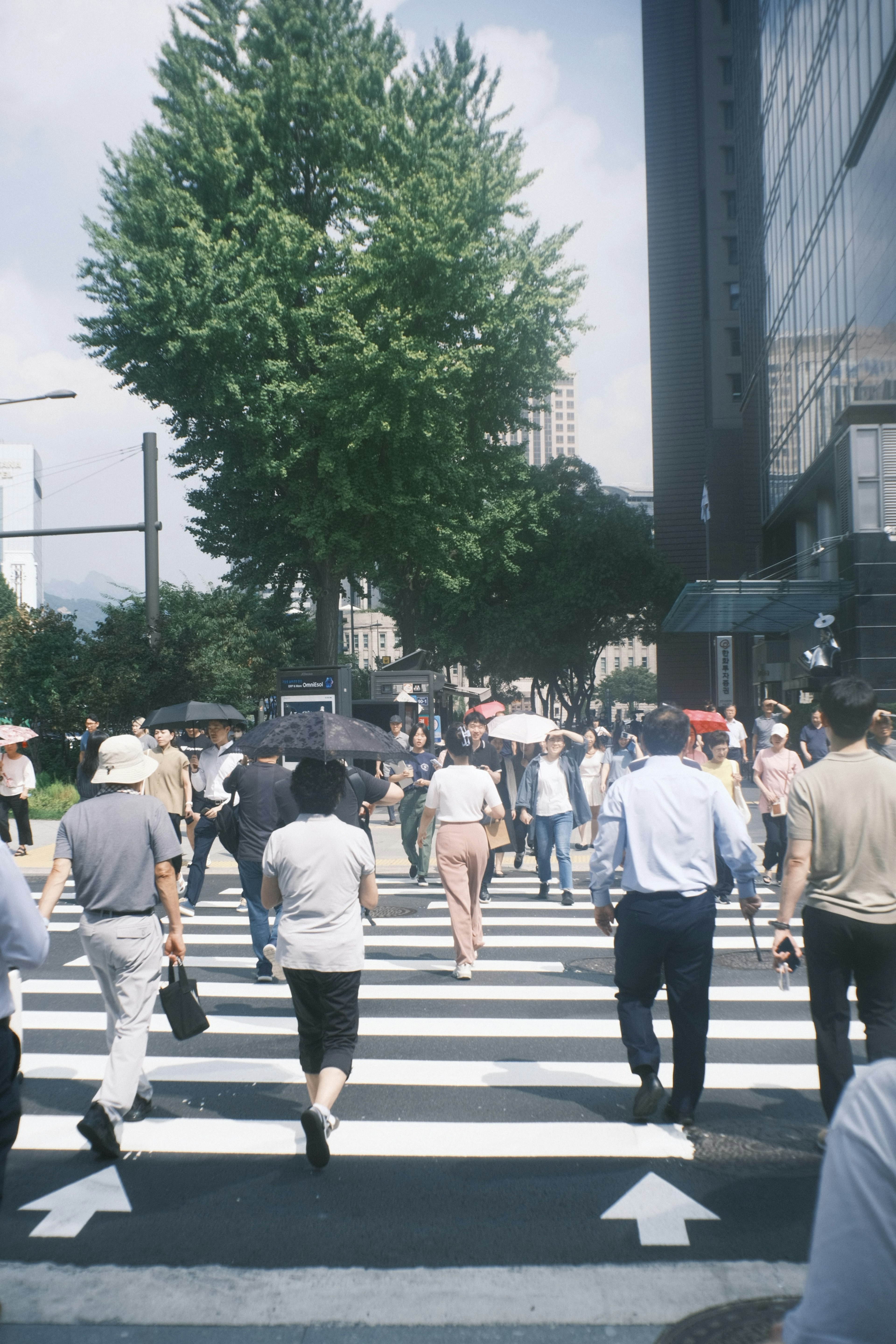 Un cruce concurrido con personas caminando bajo un cielo despejado con un árbol verde y edificios altos