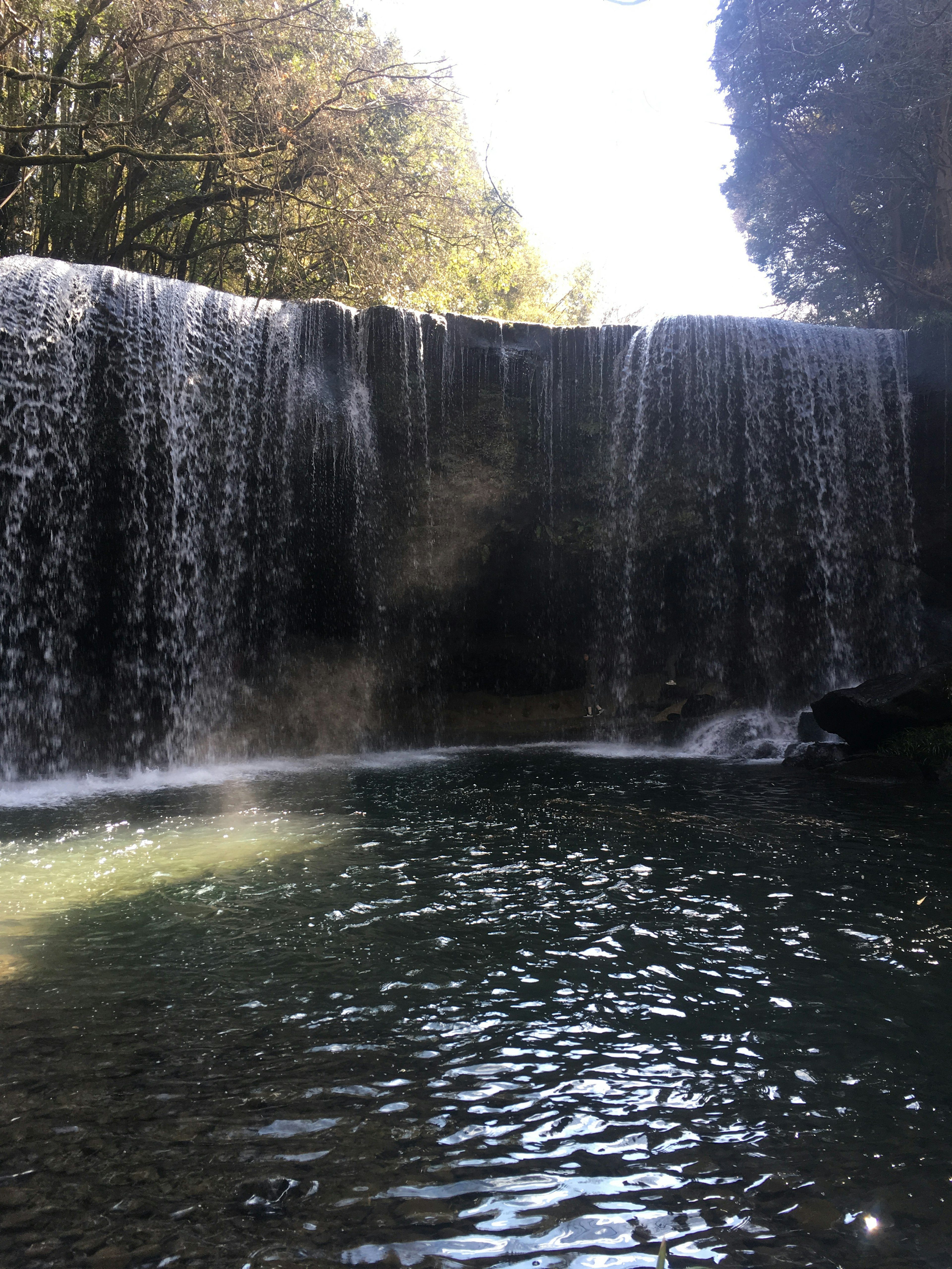 Una bella cascata circondata da vegetazione lussureggiante