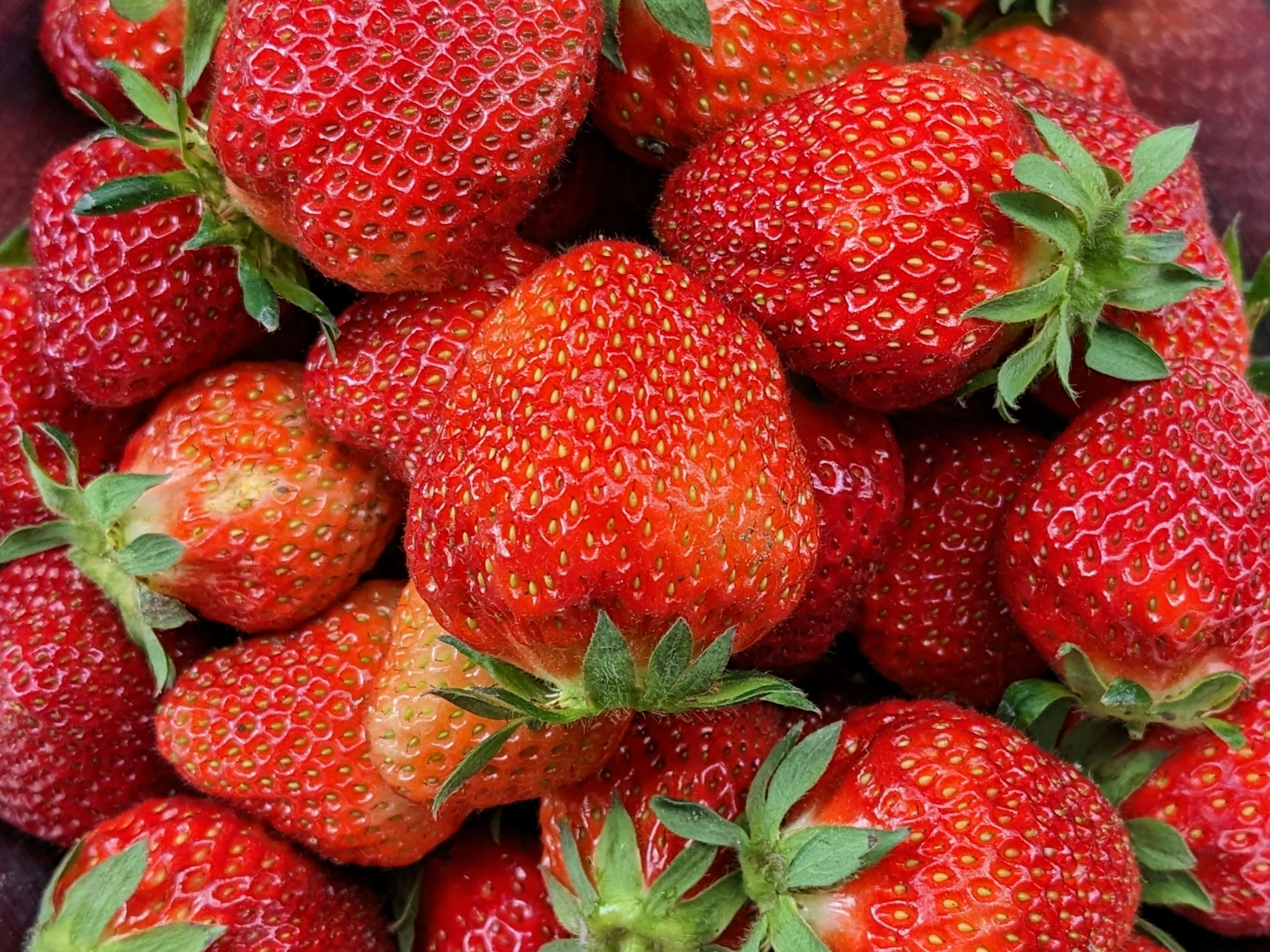 A pile of fresh strawberries with green leaves