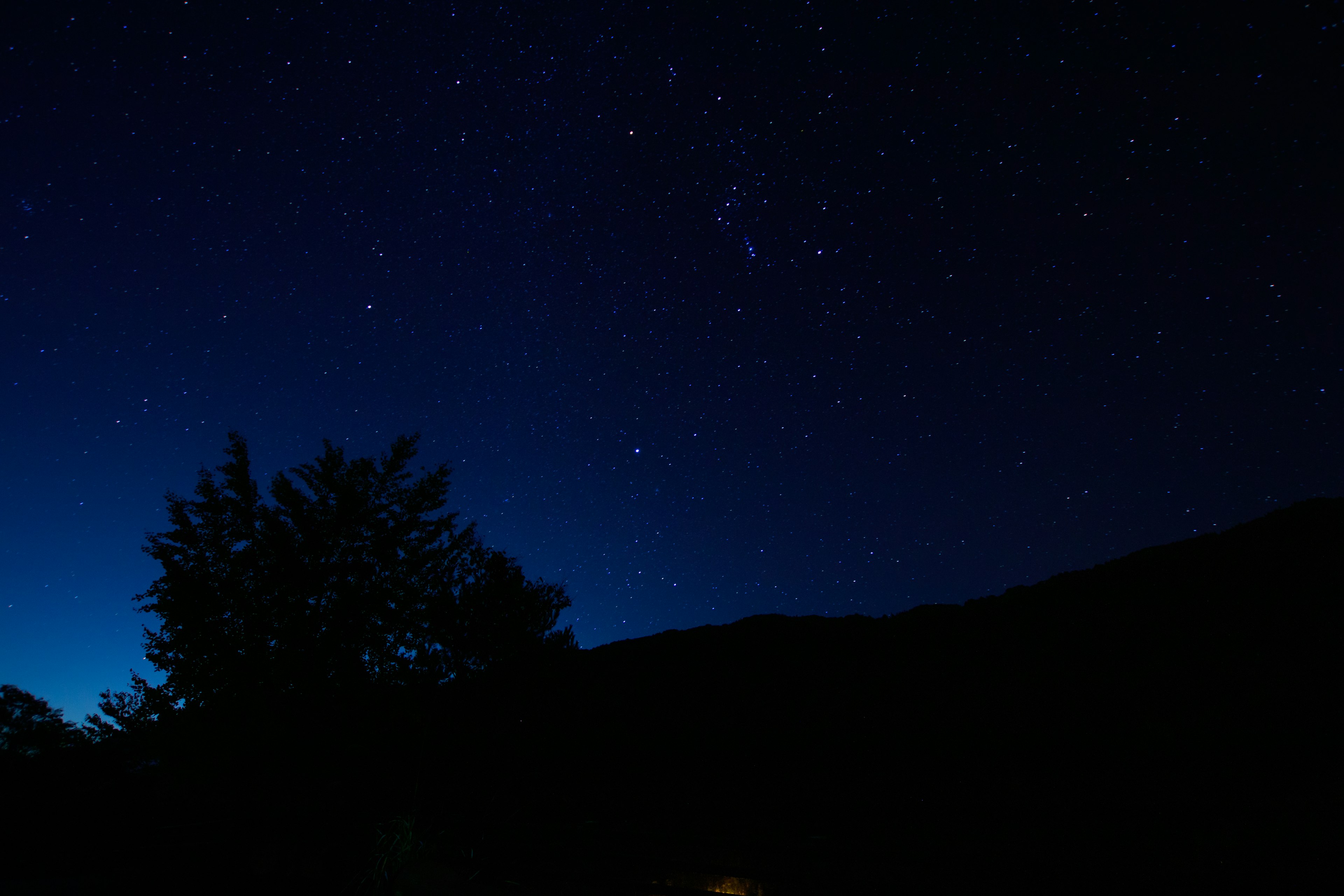 Cielo notturno pieno di stelle con silhouette di montagne e alberi