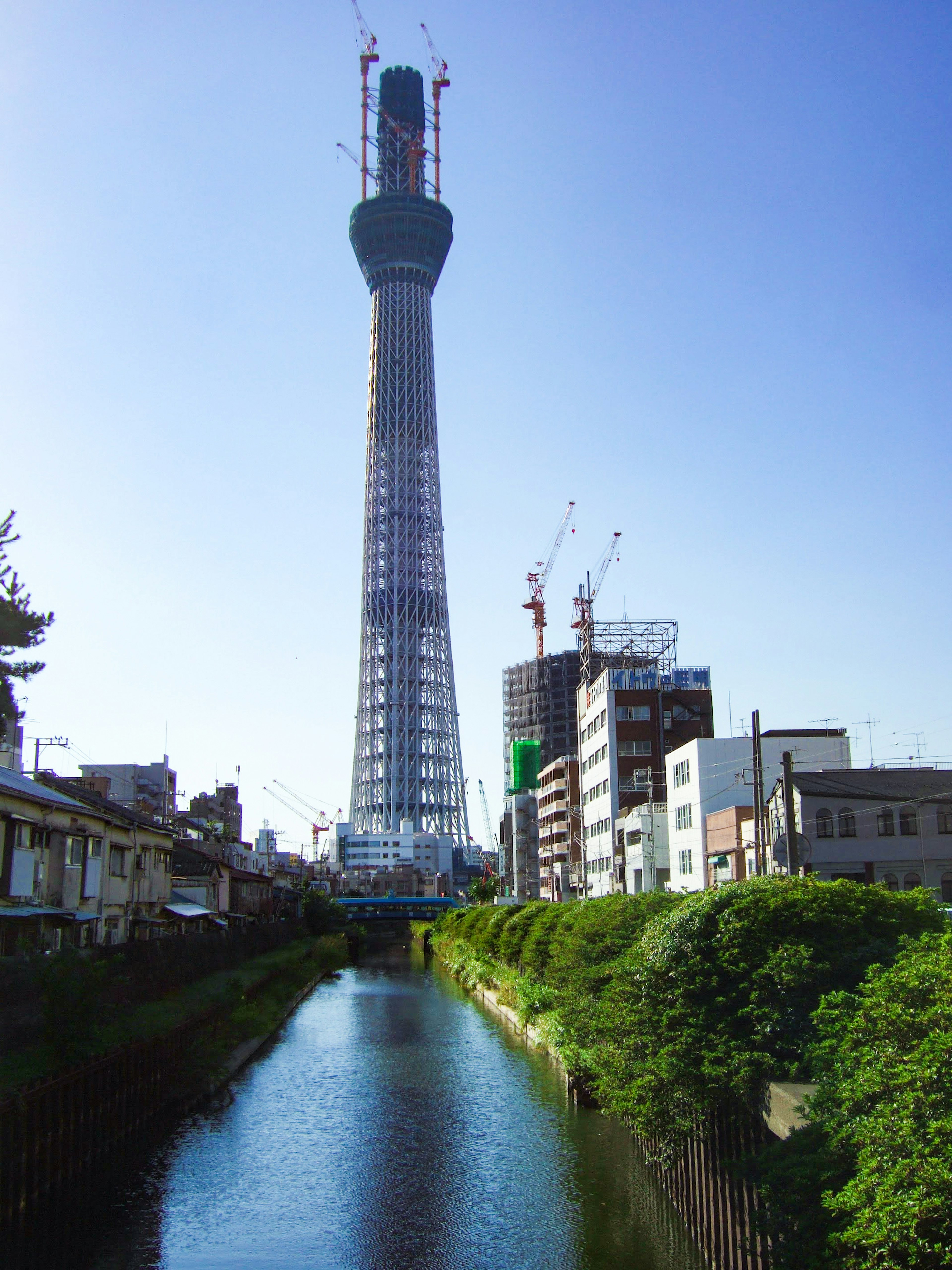 東京スカイツリーと近くの運河の風景