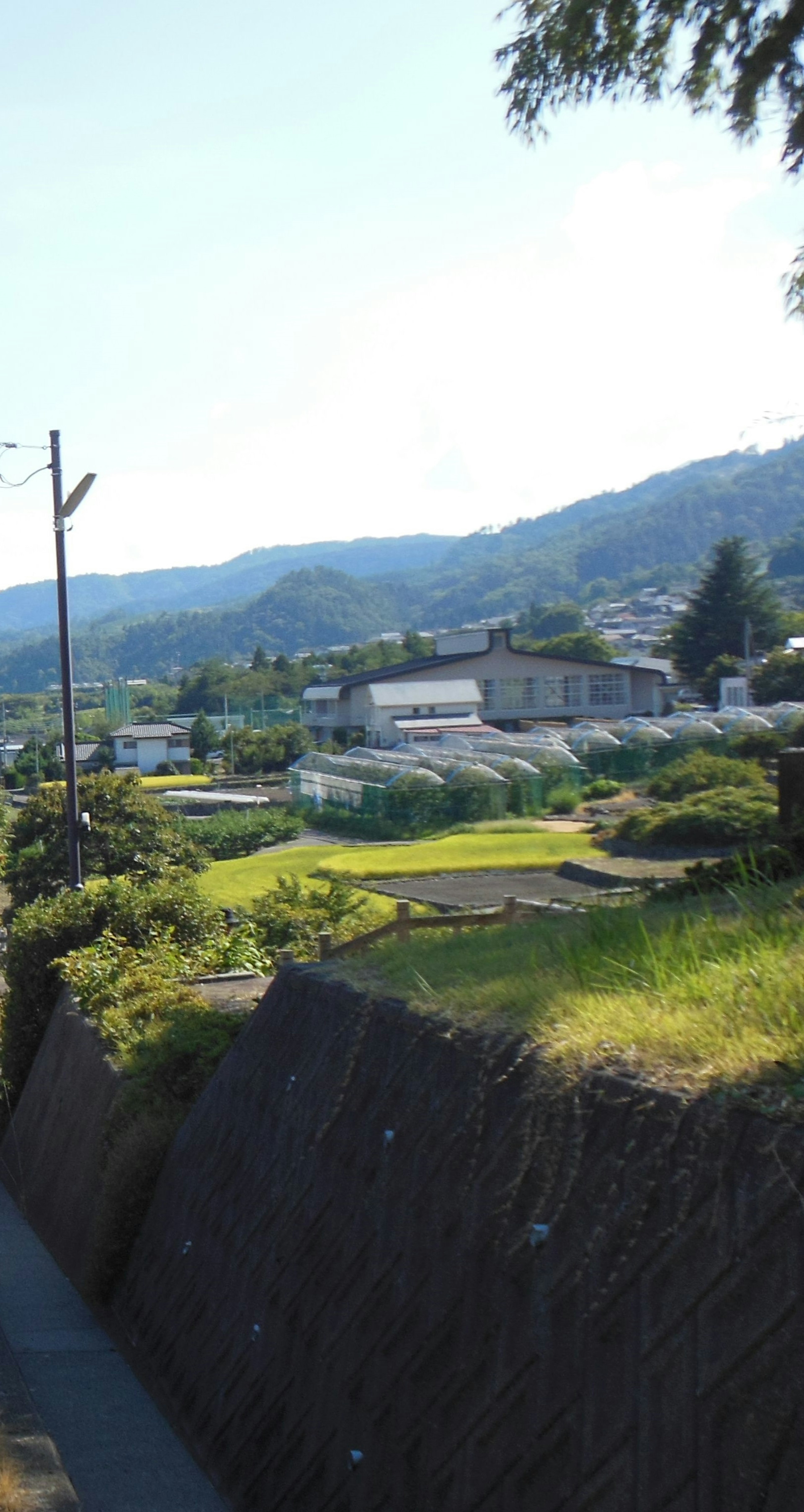 青い空と山が見える田舎の風景 住宅と緑の草地が広がる