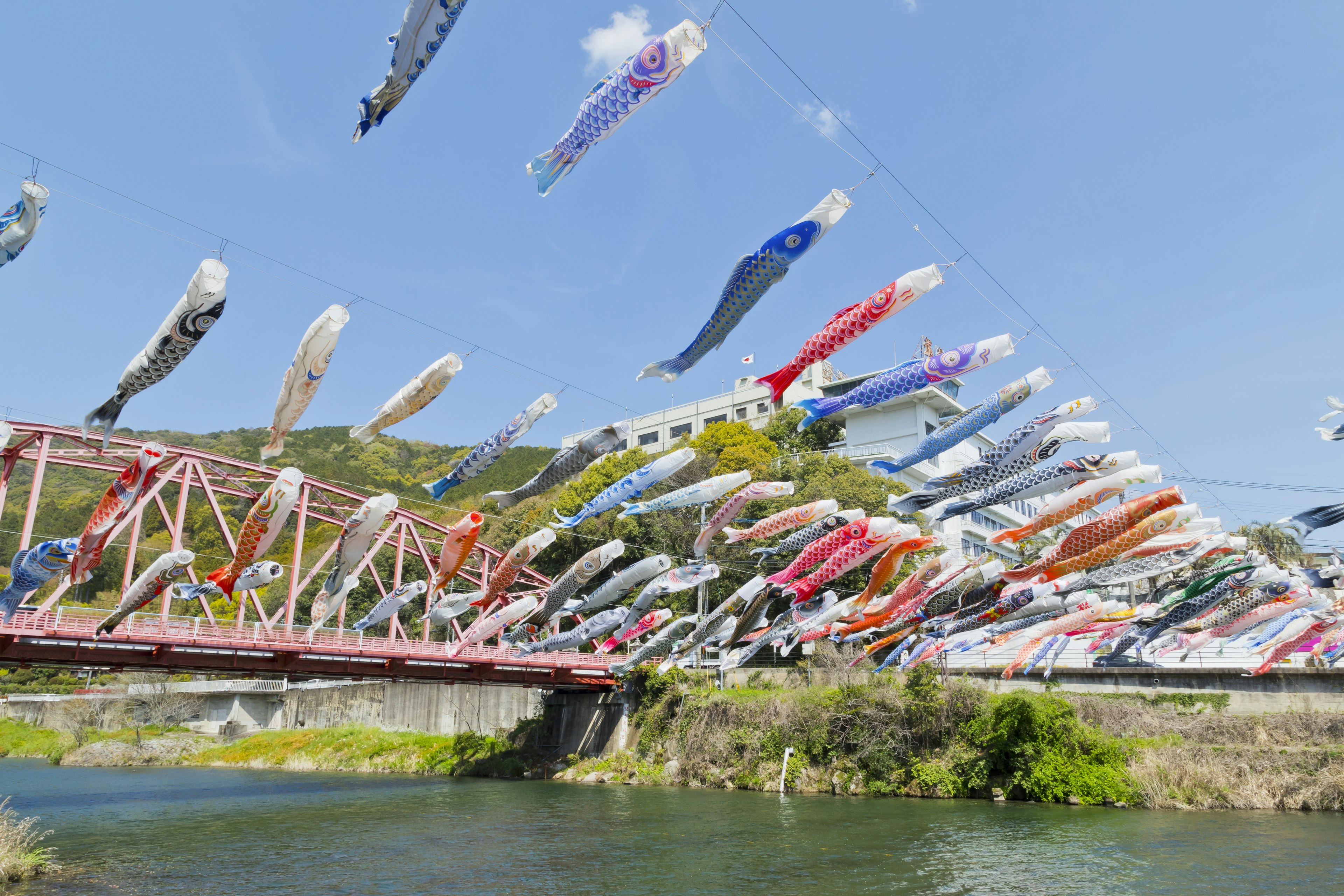 Koi flags flying above a river with a red bridge in the background