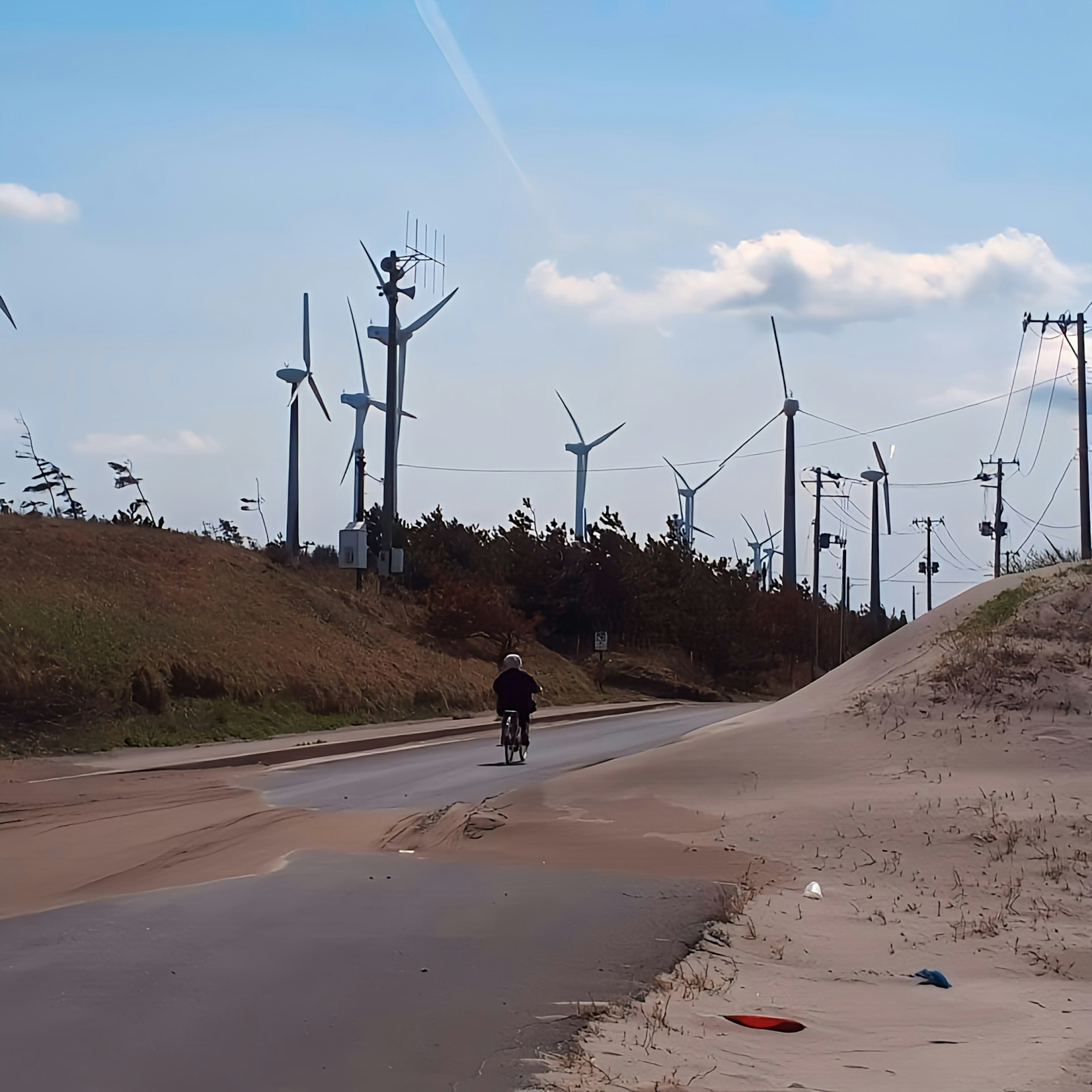 Person riding a bicycle on a road lined with wind turbines