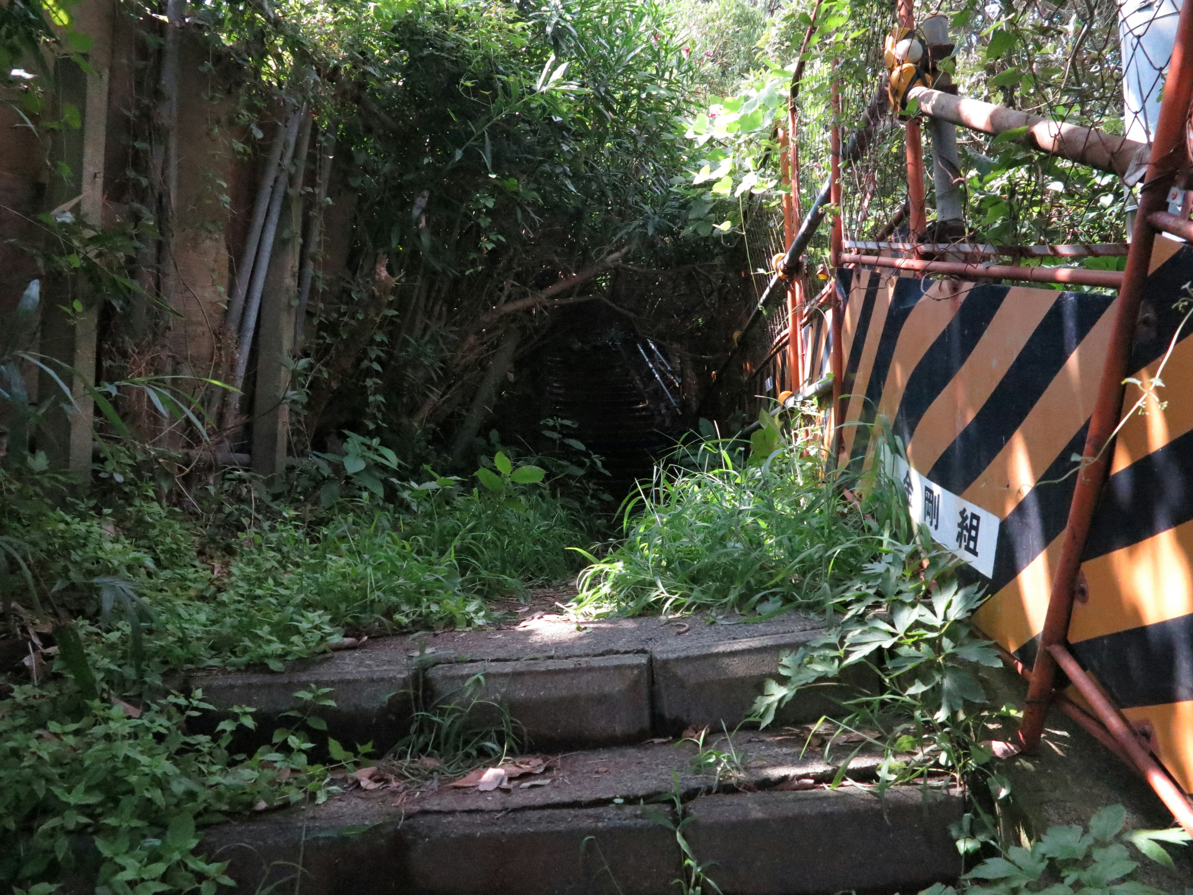 Overgrown staircase with construction barriers and lush greenery