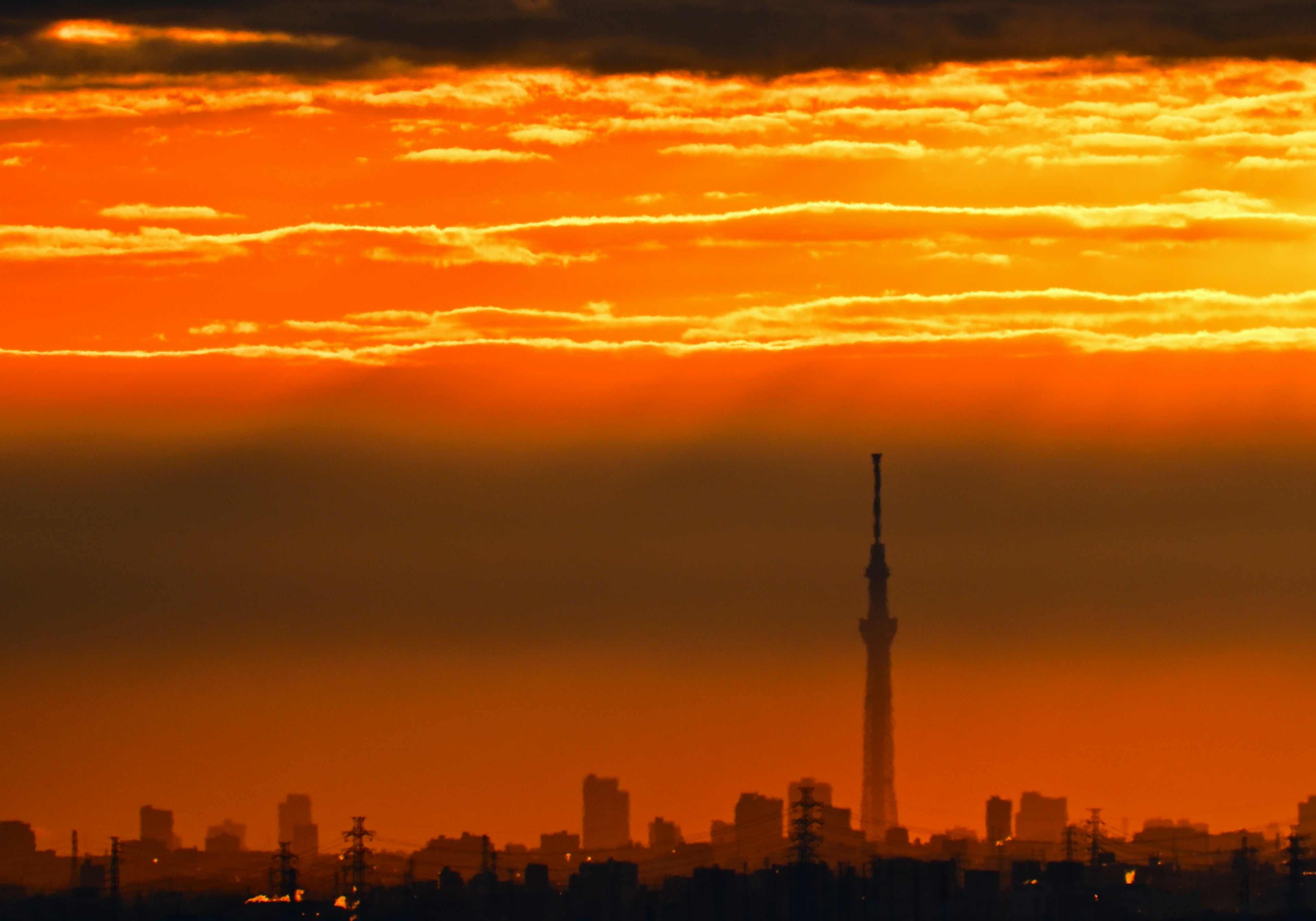 東京スカイツリーが夕焼けの中に silhouetted