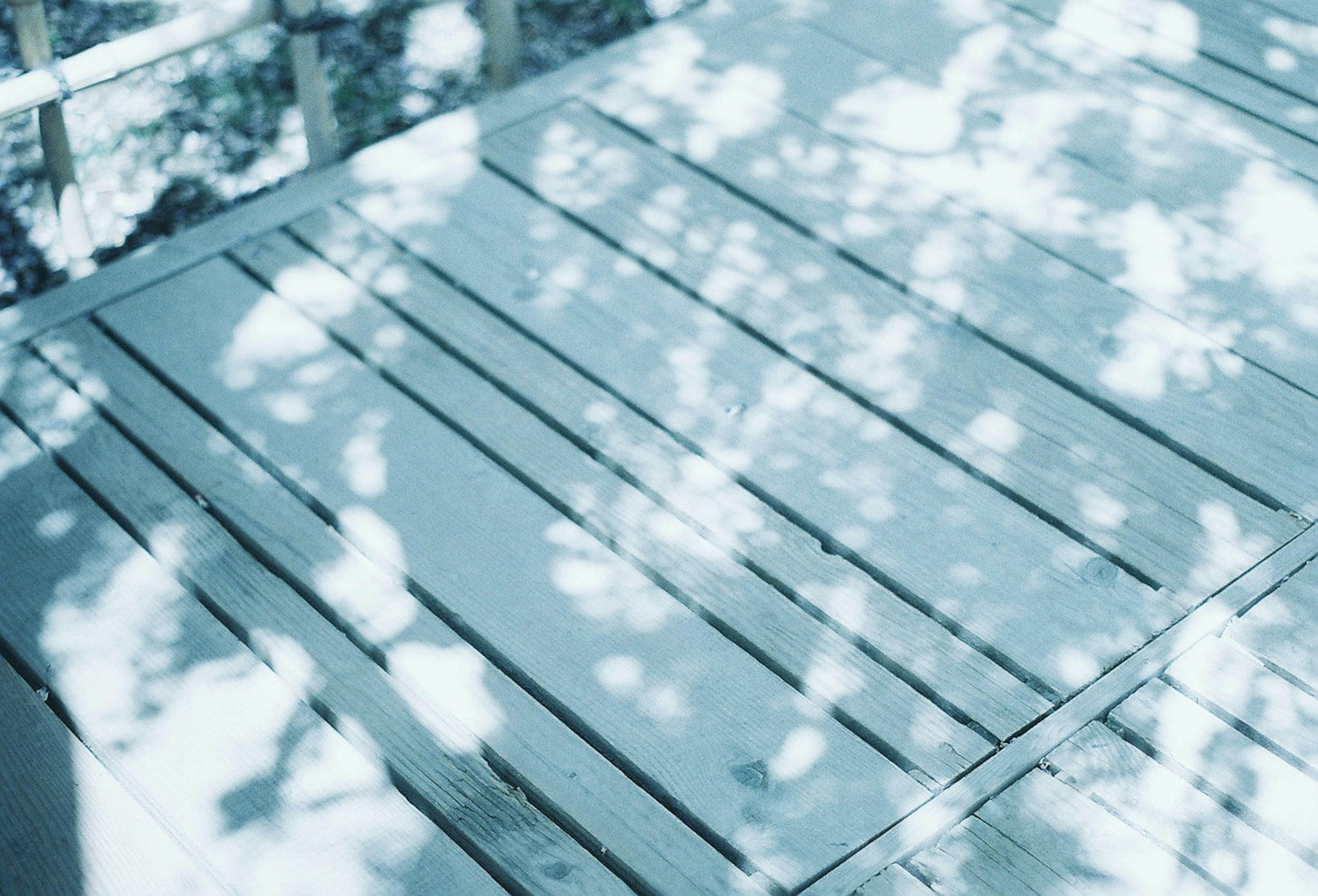 Sol en bois bleu avec des ombres de feuillage