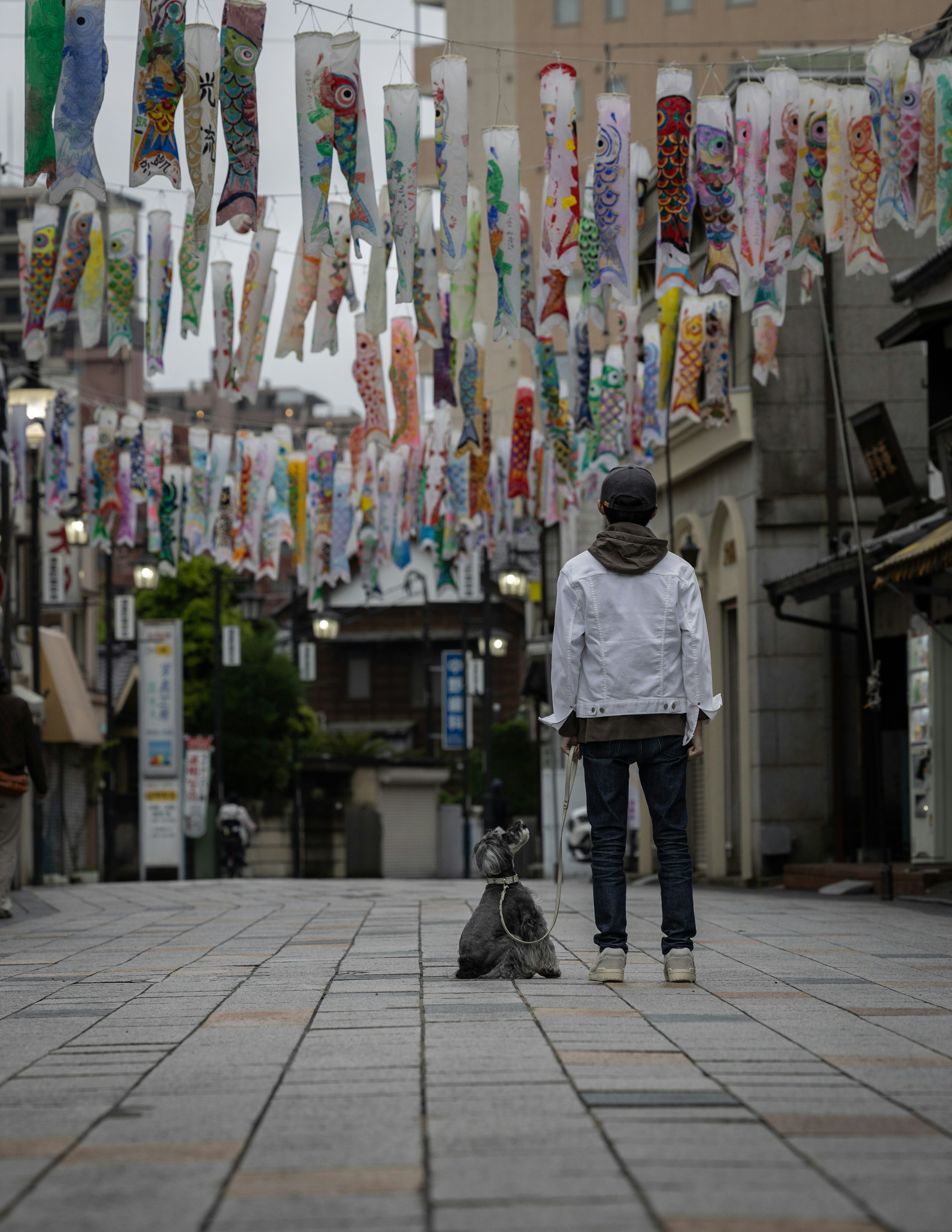 Person standing on a street with colorful koi flags hanging overhead