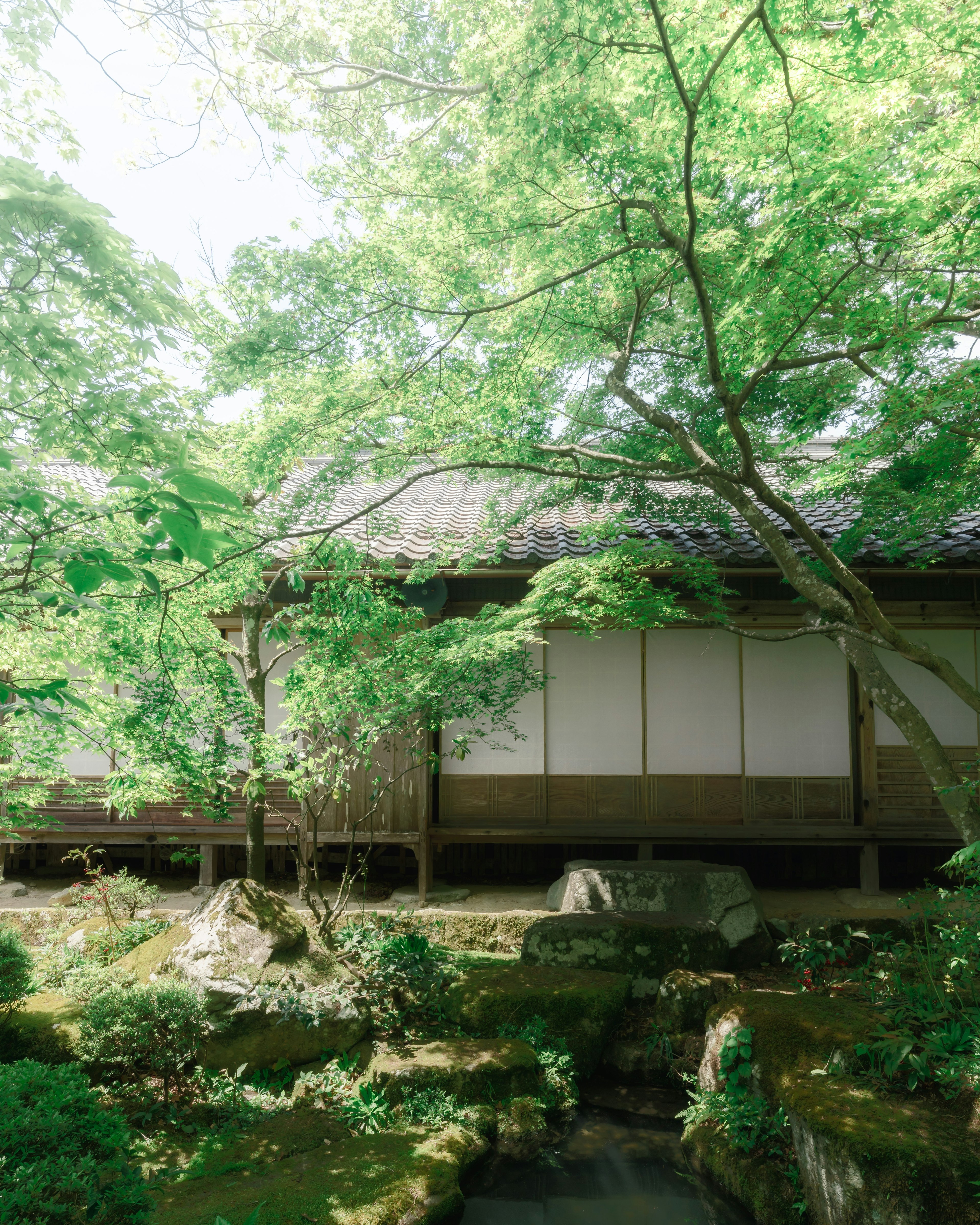 Traditional Japanese house surrounded by lush greenery