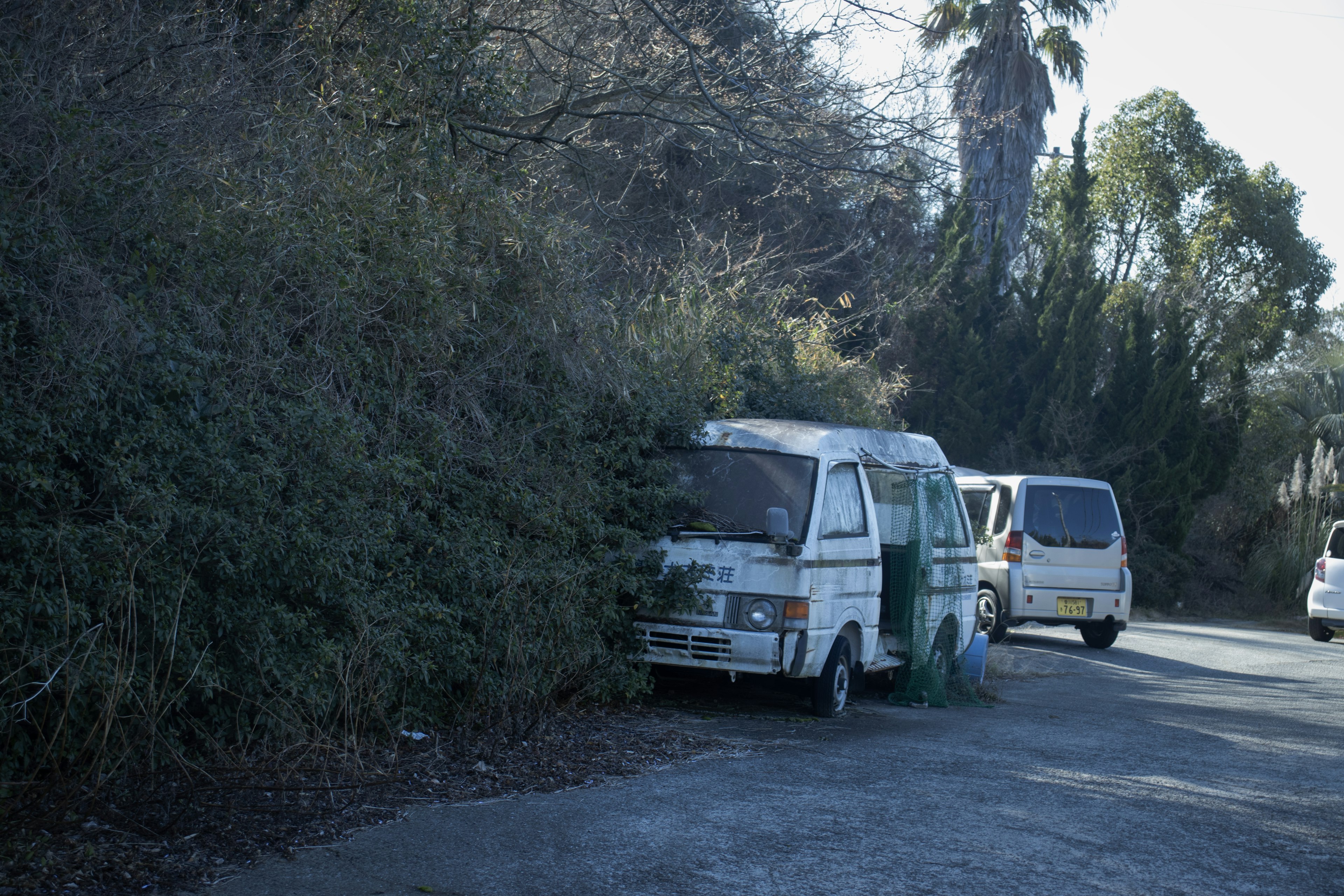 Furgón viejo parcialmente oculto por arbustos y naturaleza circundante