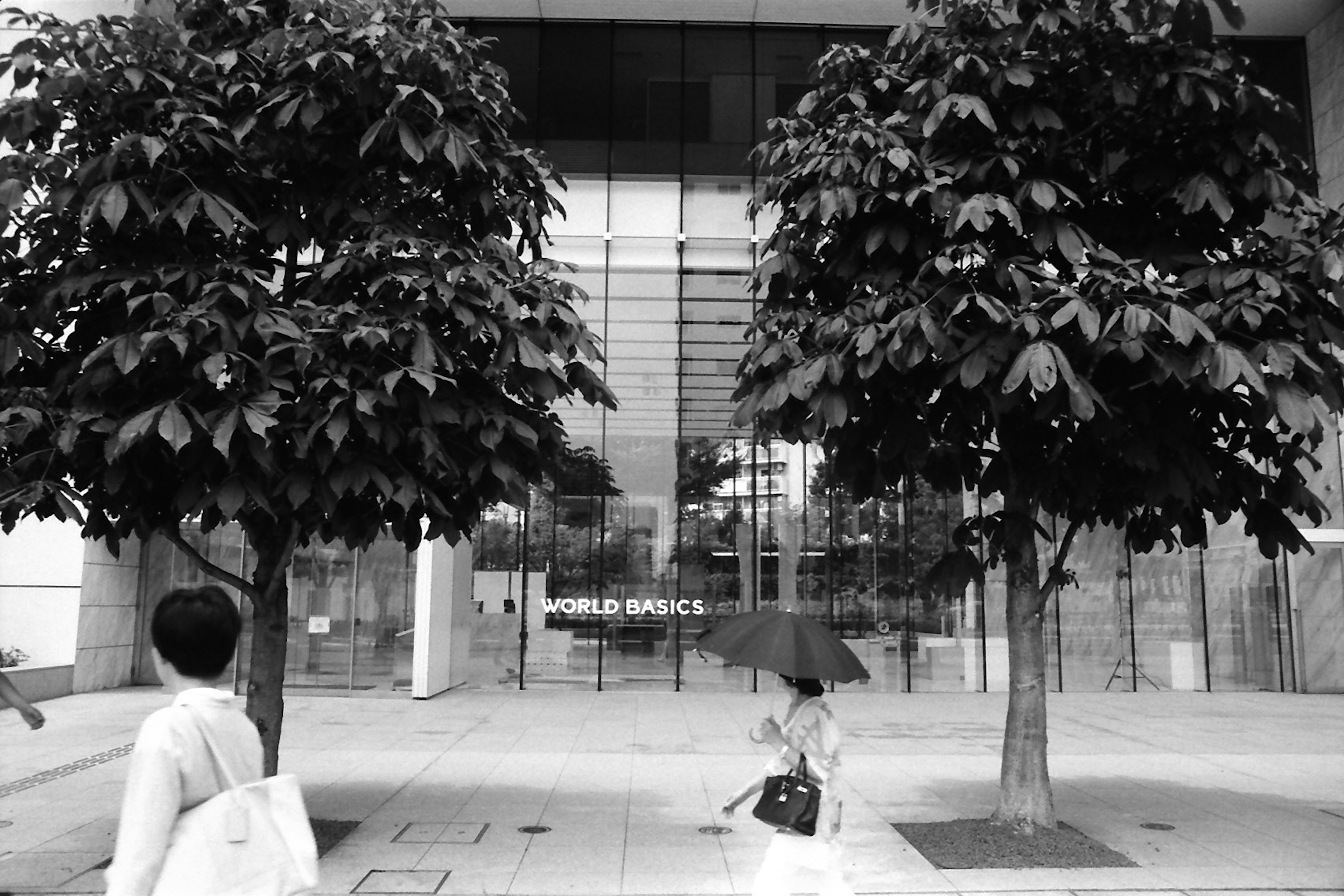 Black and white image of two trees and pedestrians in front of a building